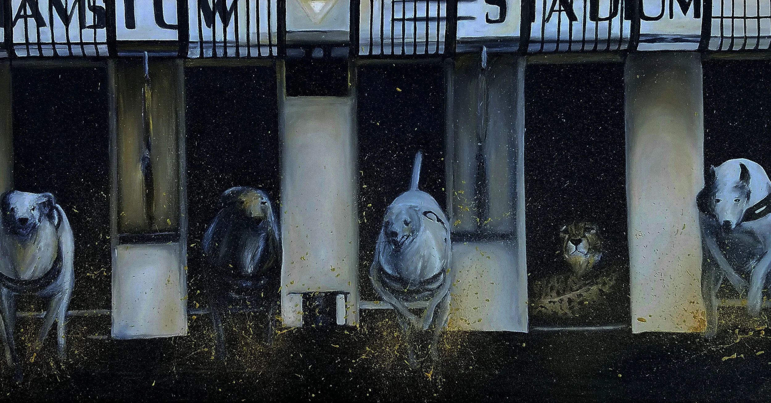 Untitled (2016) oil on canvas 17x36”