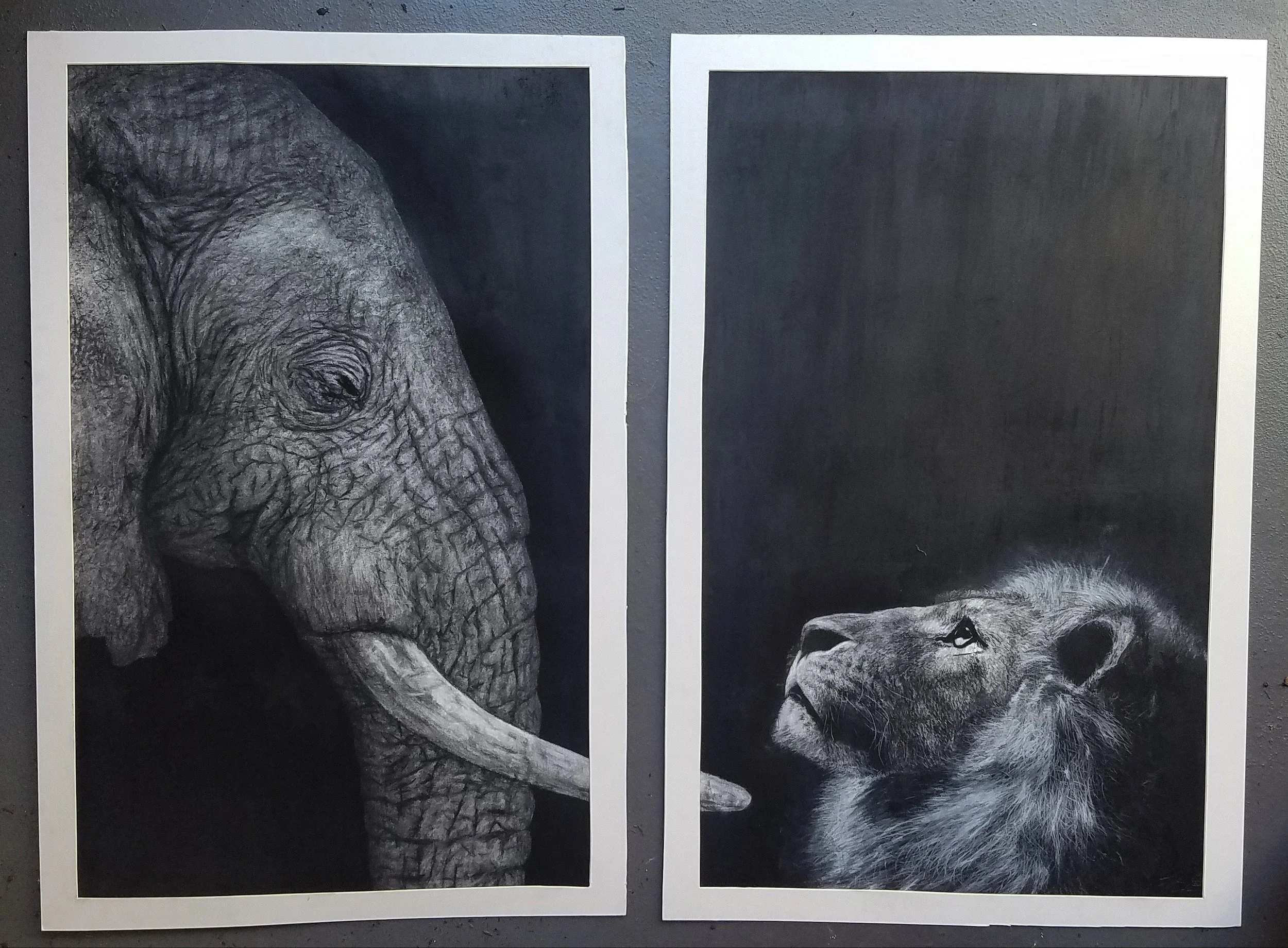 Kings 46x34in estimated dimensions with border.jpg