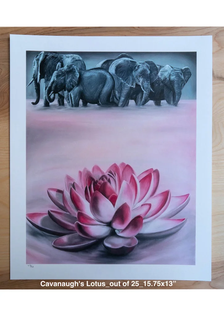 Cavanaugh's Lotus_out of 25_15.75x13” .small.jpg