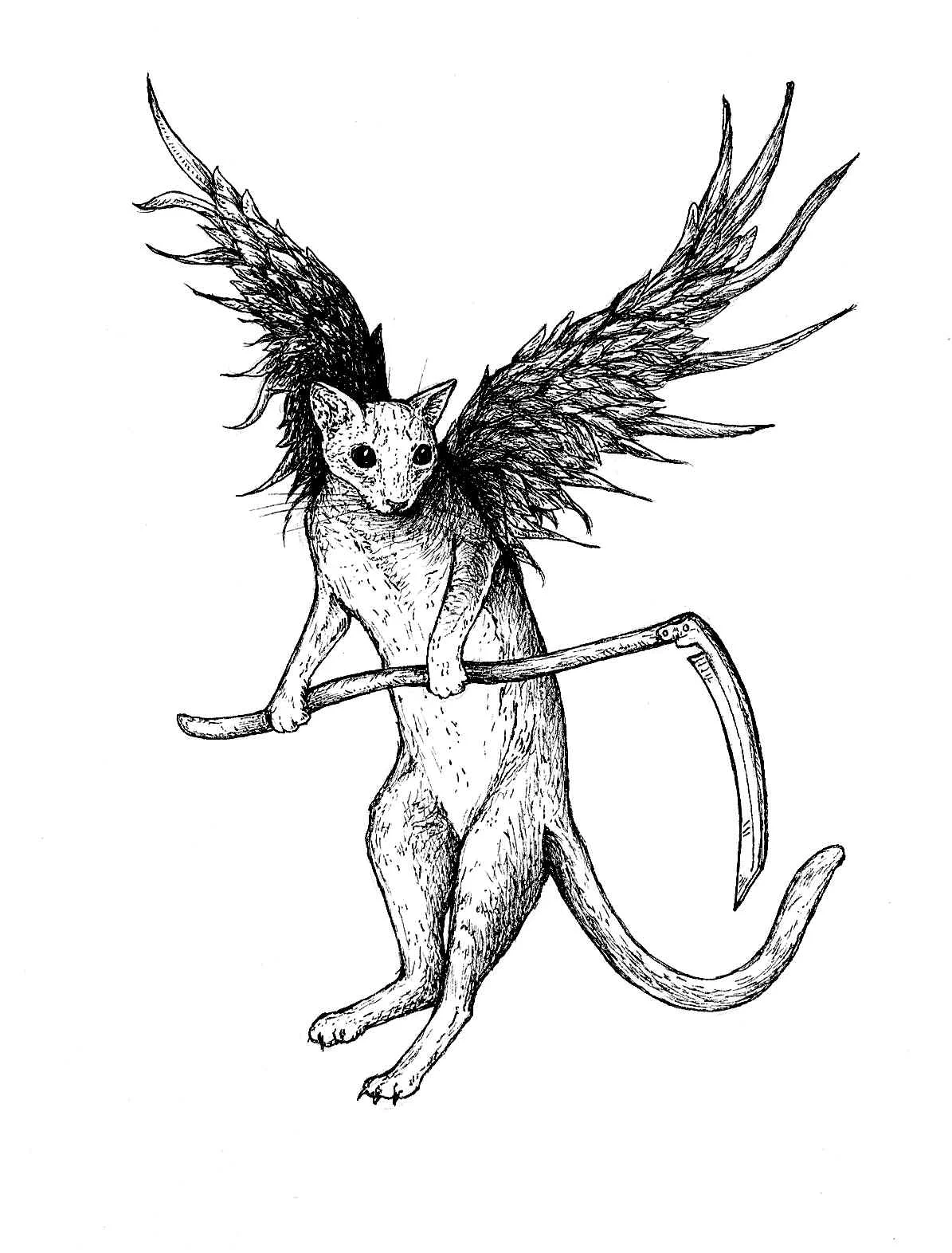 angel of death.jpg