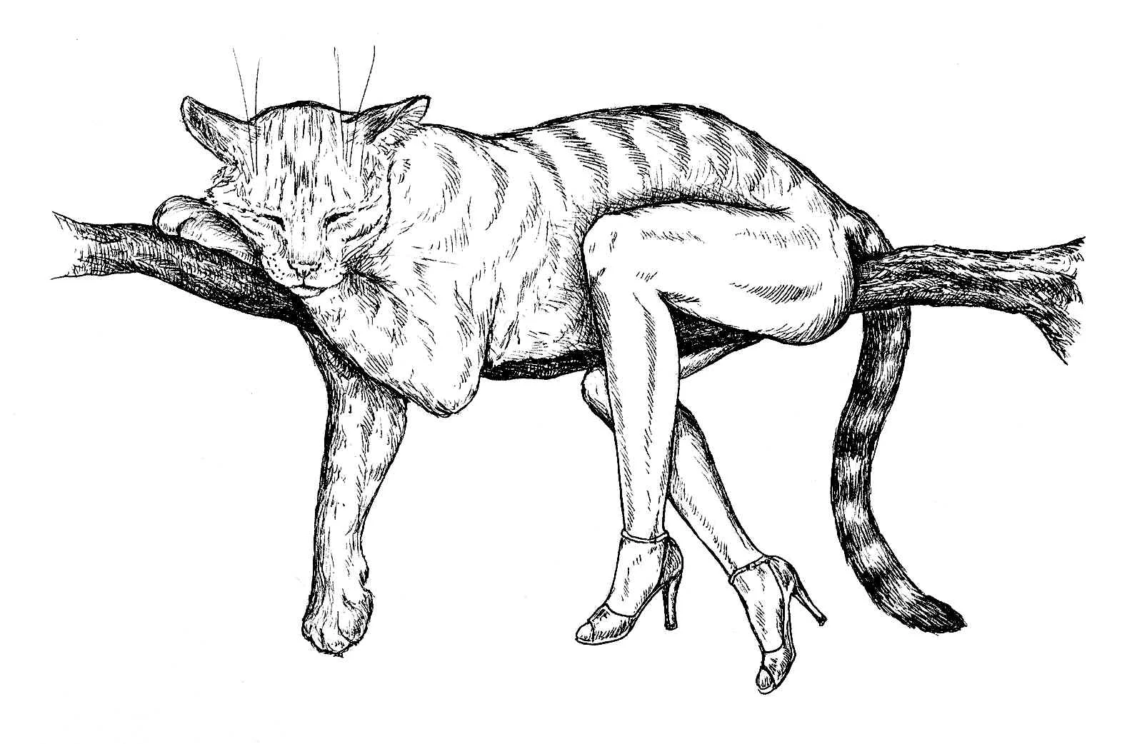 branch.jpg