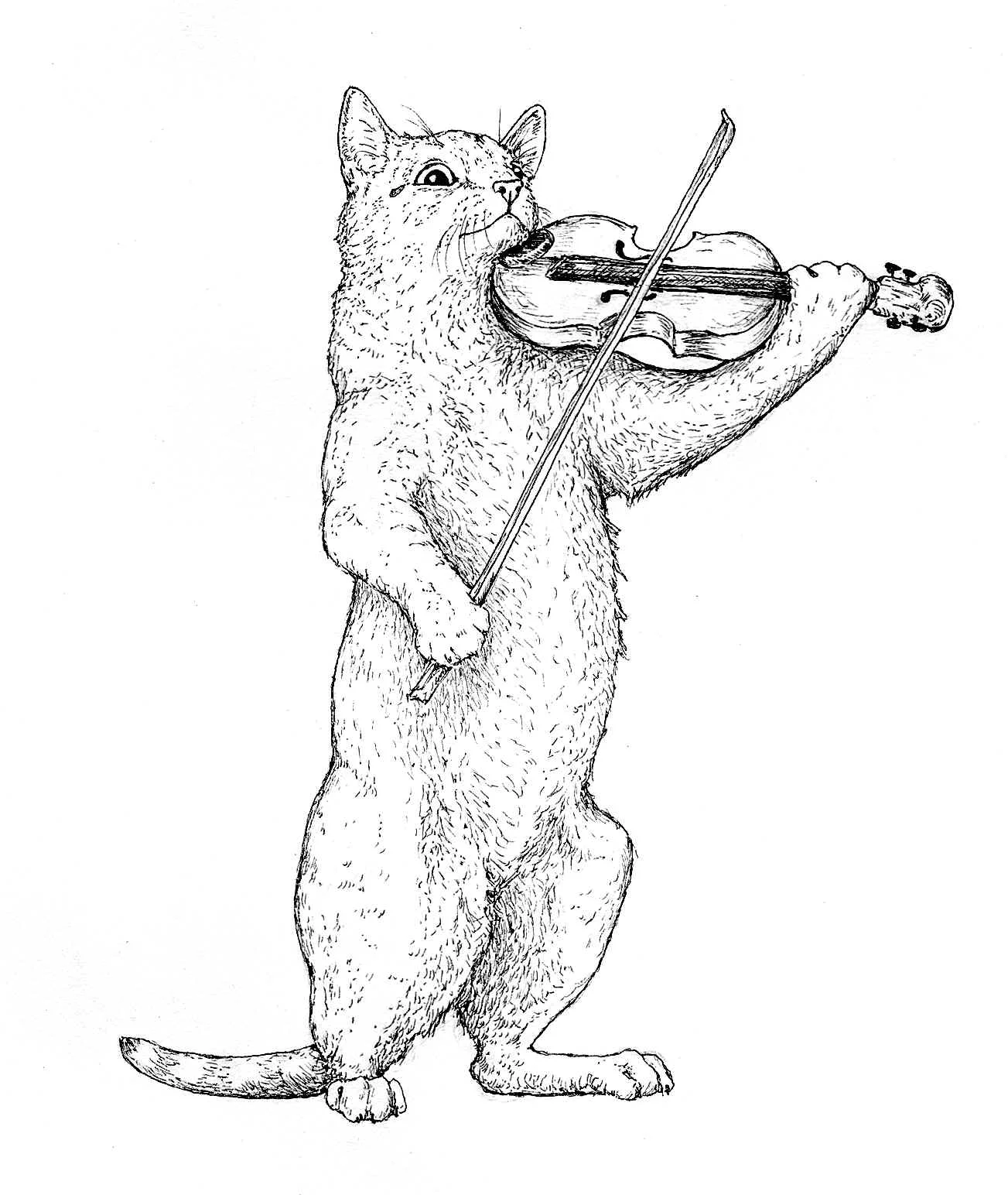 fiddler.jpg