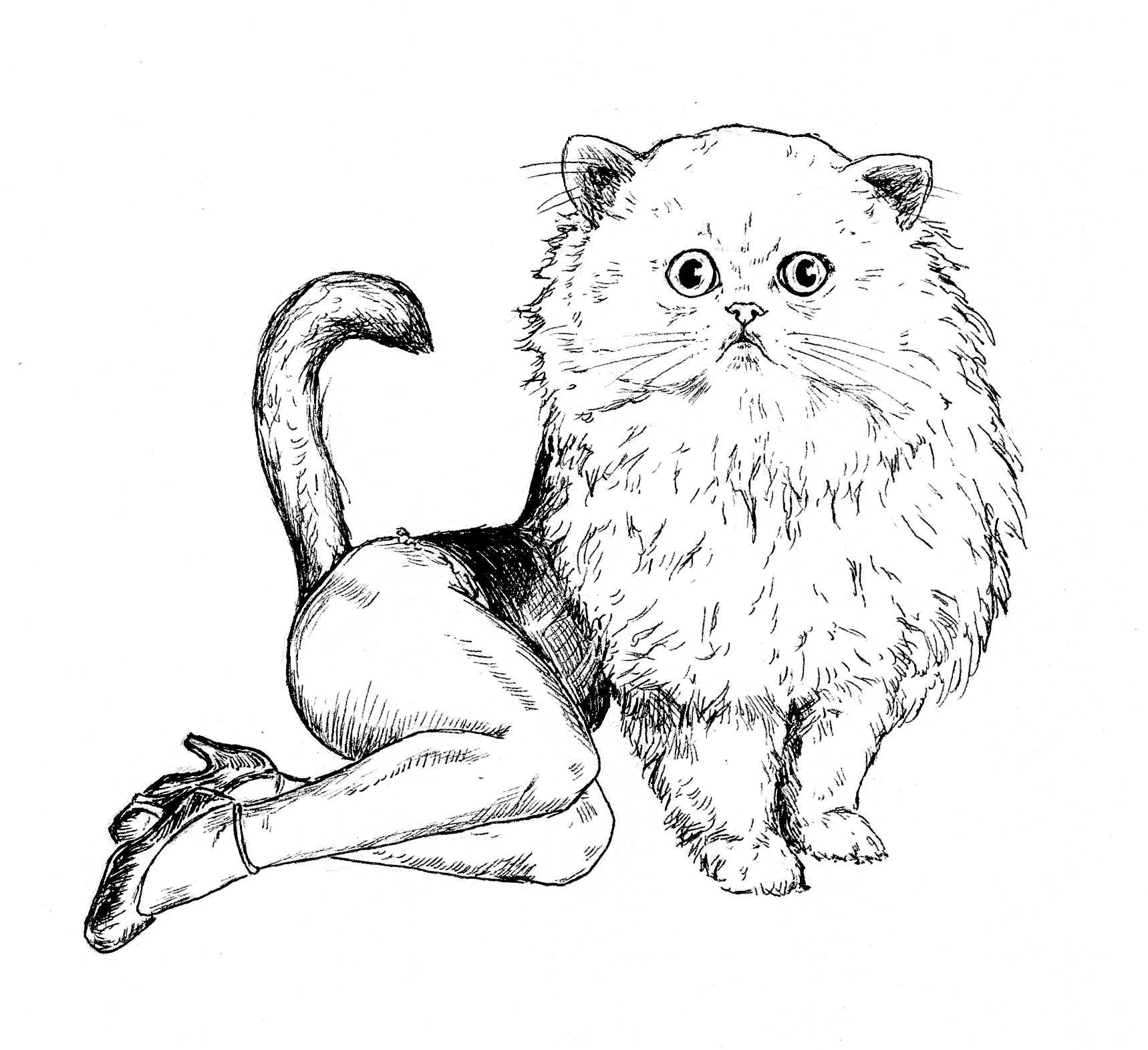 fluffycorset.jpg
