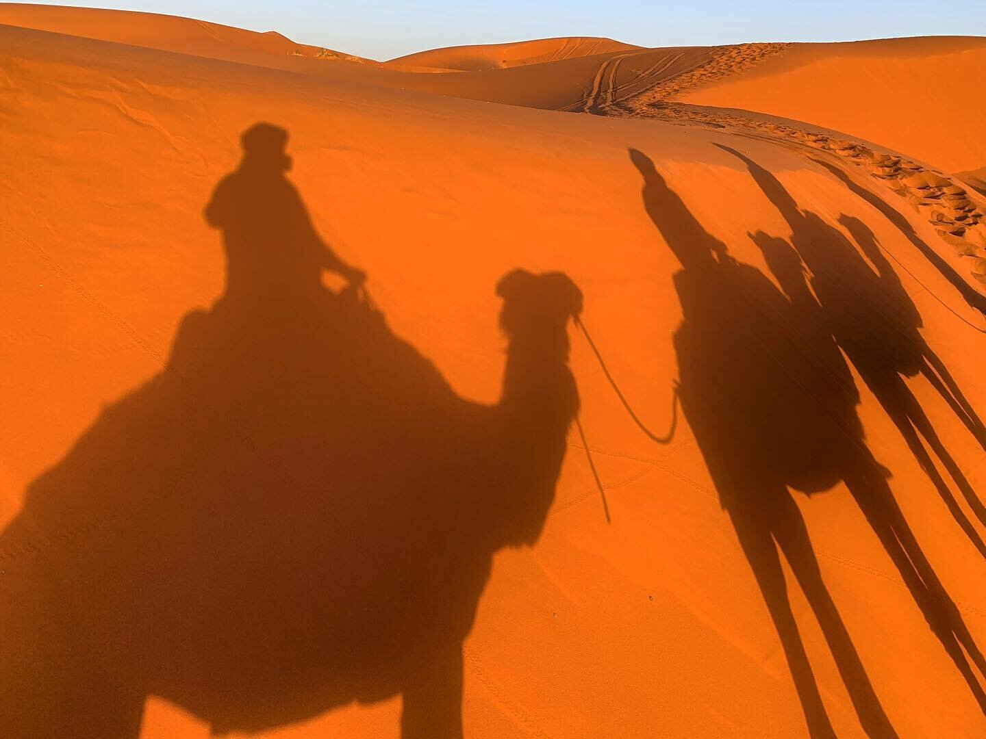 Happy hump day 🐪! Wednesdays (really any day 🙃) are better in the Sahara. 
.
.
.
.
.
#mumtazmaroc #morocco #openborders #dreamingoftravel #desertvibes #saharadesertmorocco #saharadesert #moroccotravel #moroccovacations #solotraveler #moroccoplaces 