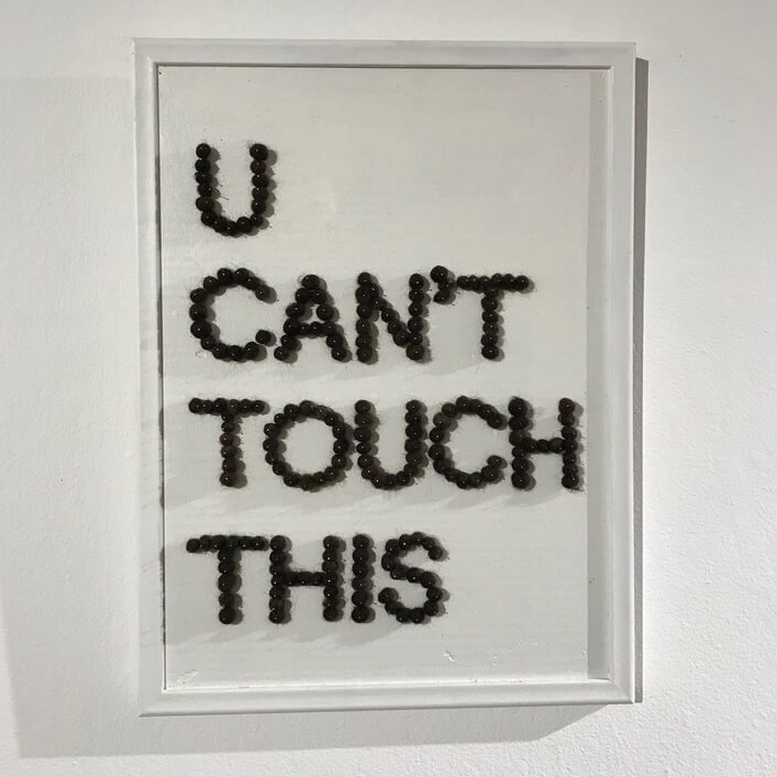 Danielle Wright, U Can’t Touch This , 2016