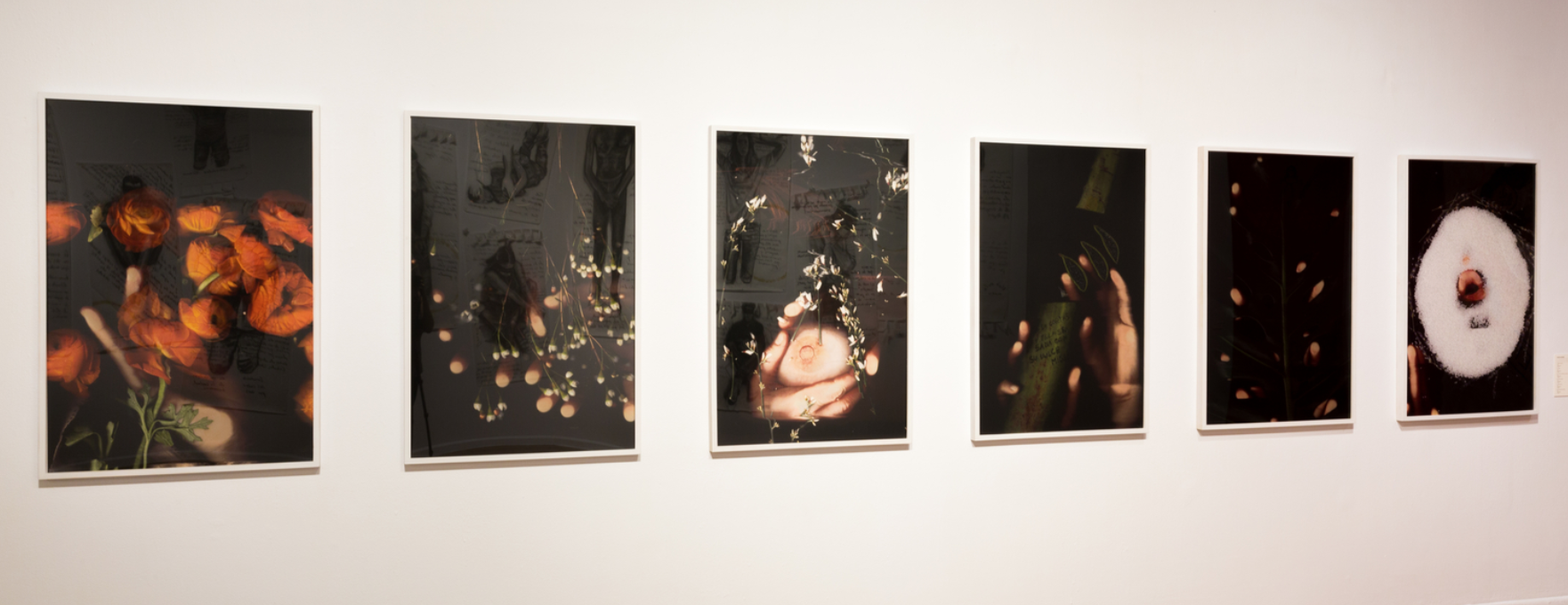 Paloma Mayorga, Poderosa (Powerful) , Mia (Mine) , Con su dulce miel (With her sweet honey) , Mano llena (Handful) , Ansiedad (Anxiety) , and Labios salados (Seasoned lips) , Digital C Type prints, each 45” x 30,” various years (2014-2017)