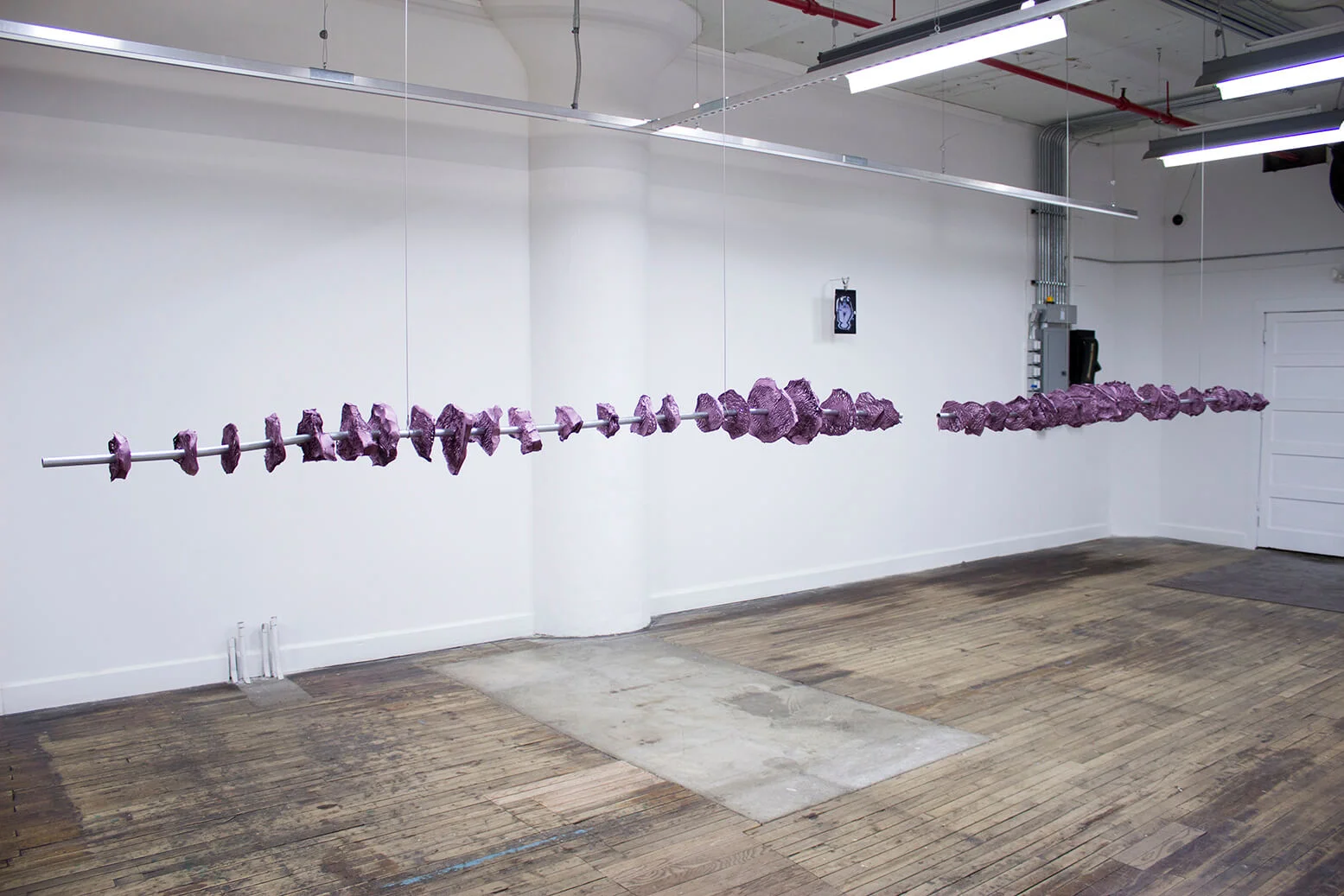 Adolfo Bimer, SCANS , Vistas de instalación. Cleveland Print Room, Cleveland, United States, 2015