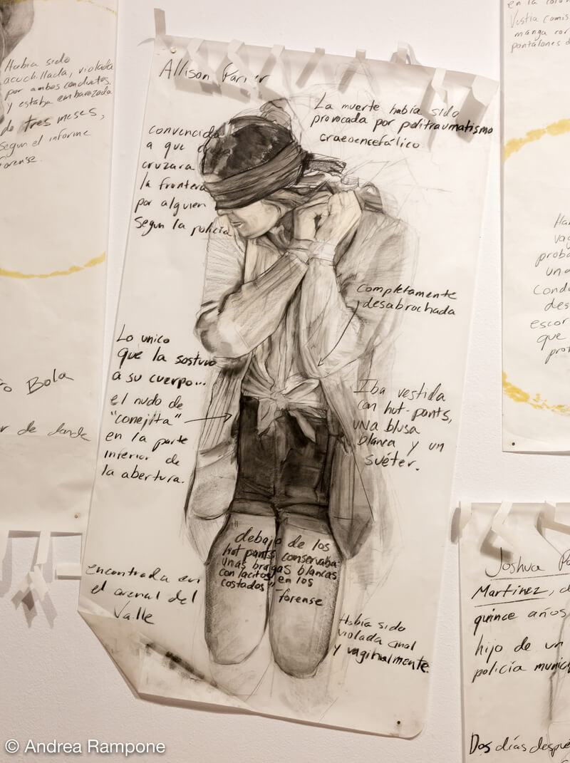 Andrei Renteria, Fringes: Allison Parker (installation shot), 2017. Lithography crayons on vellum paper. Photo by Andrea Rampone