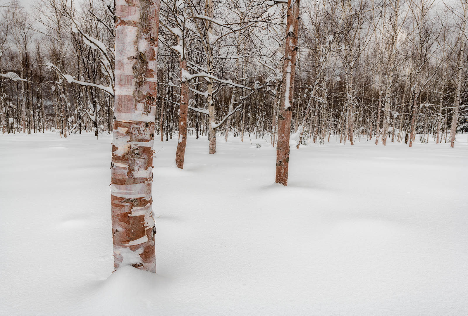 Biei Hokkaido Japan