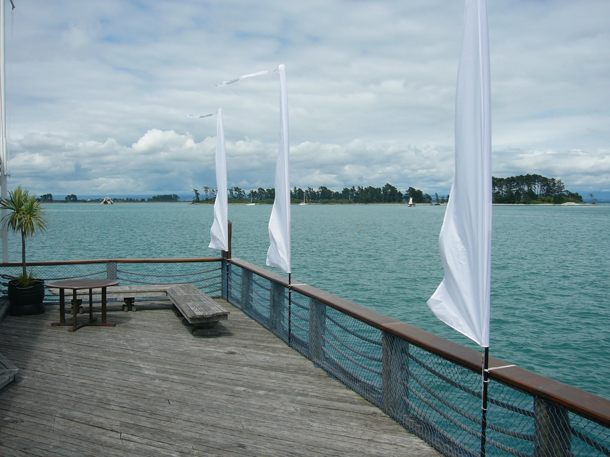 white silk flags.JPG
