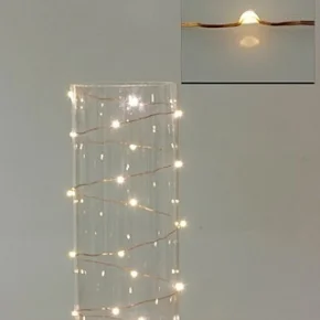 seed light warm.jpeg