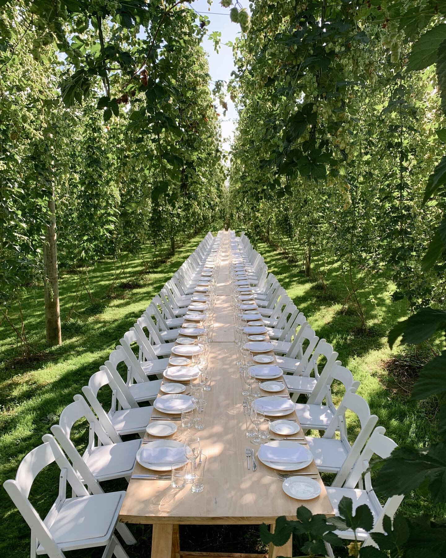 CORPORATE EVENT &bull; A long lunch amongst a field of hops. This was definitely one to tick off the bucket list!⁣
⁣
Swipe to the last photo to see the before&hellip;⁣
⁣
Hire &amp; setup by us⁣
@nzhopsltd 
@premiereventsnelson 
@ebeventsnz 
@vivalava