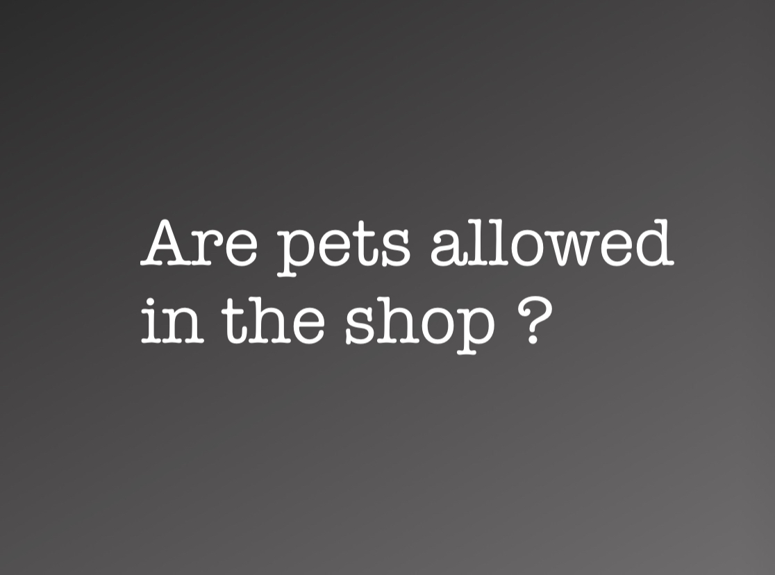 pets not allowed.jpg