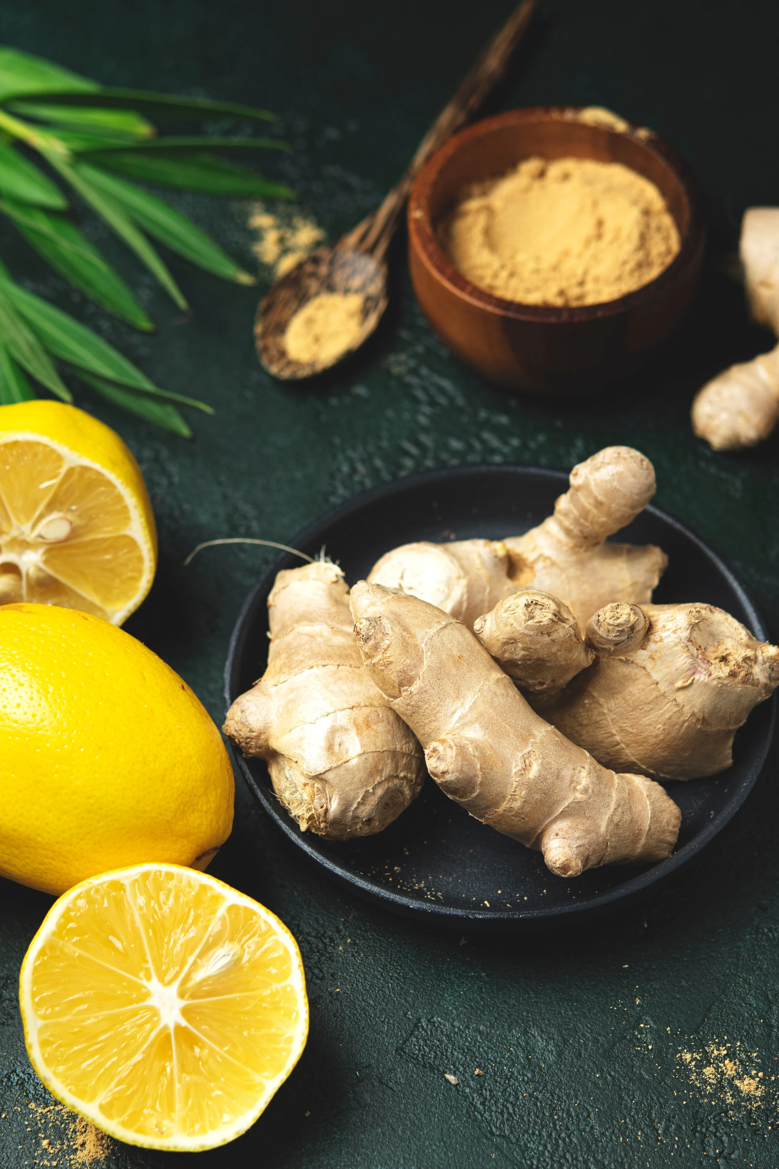 Immune Health, an Ayurvedic &amp; Yogic Perspective 