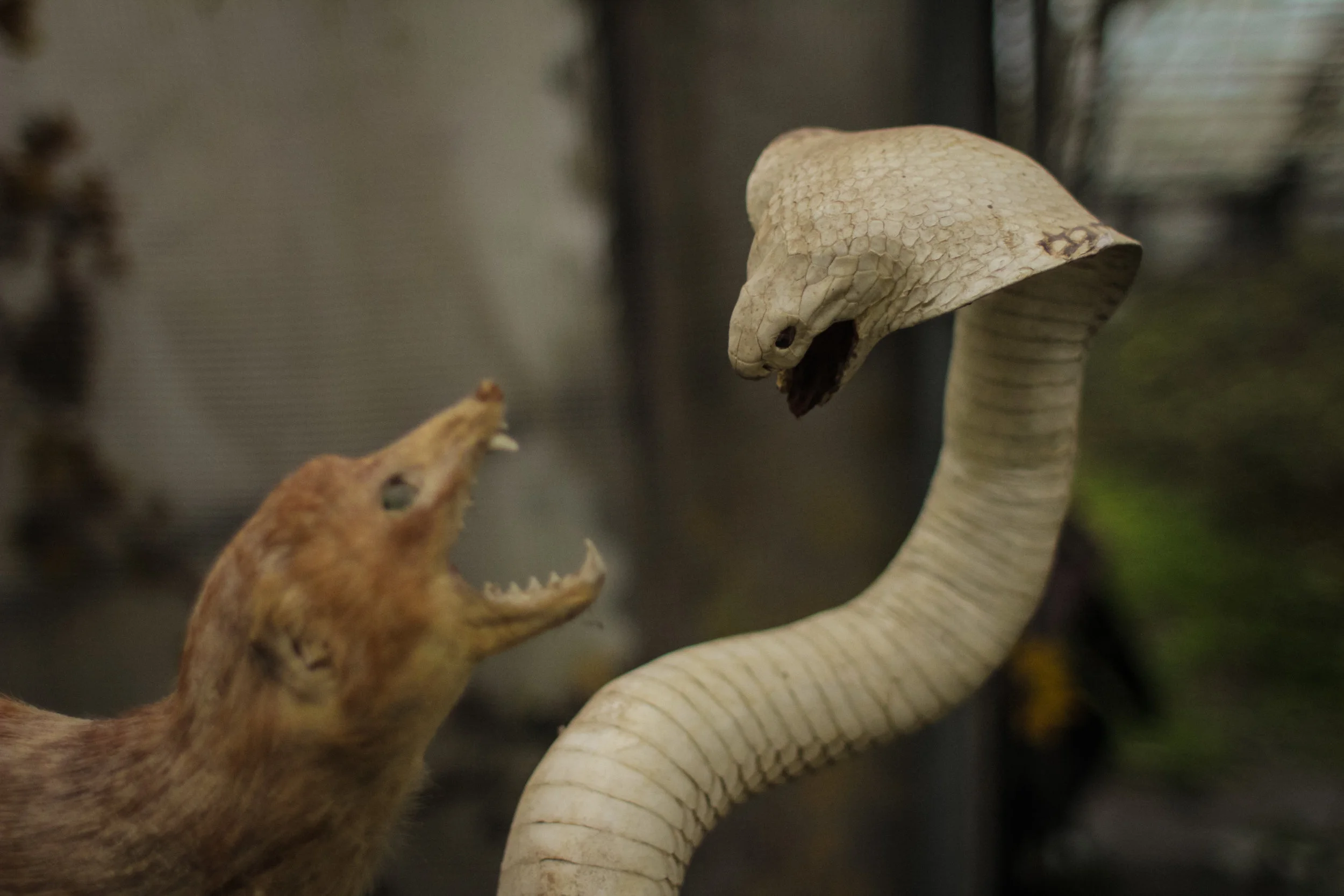 FRAME THE MUSIC 2018