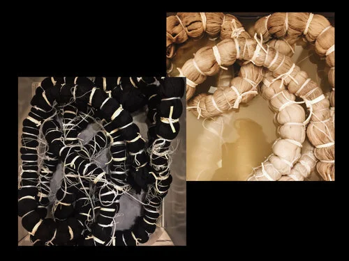 SNAKE+1.jpg