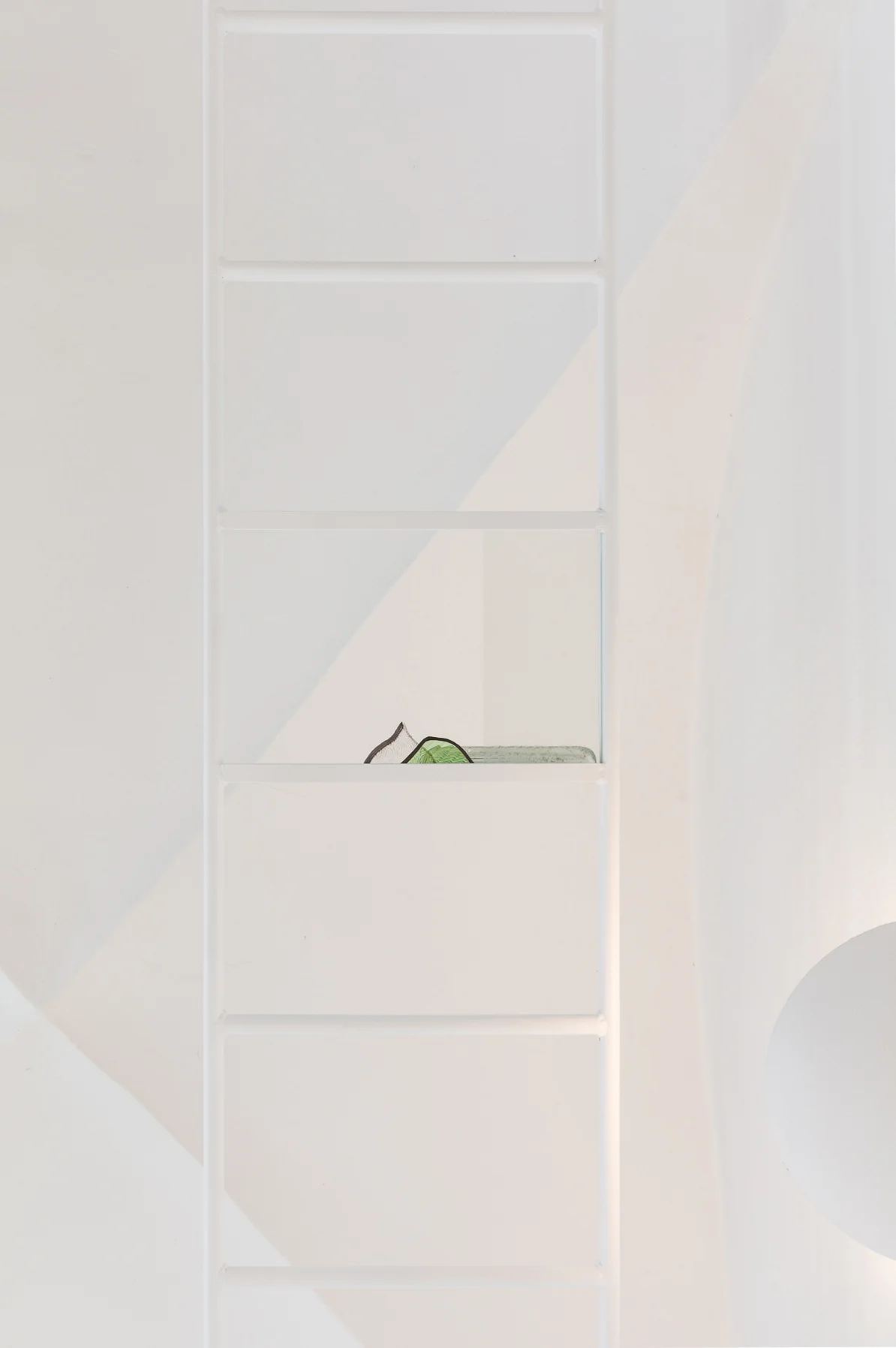 Like a ladder from horizon to horizon , 2019 Detail