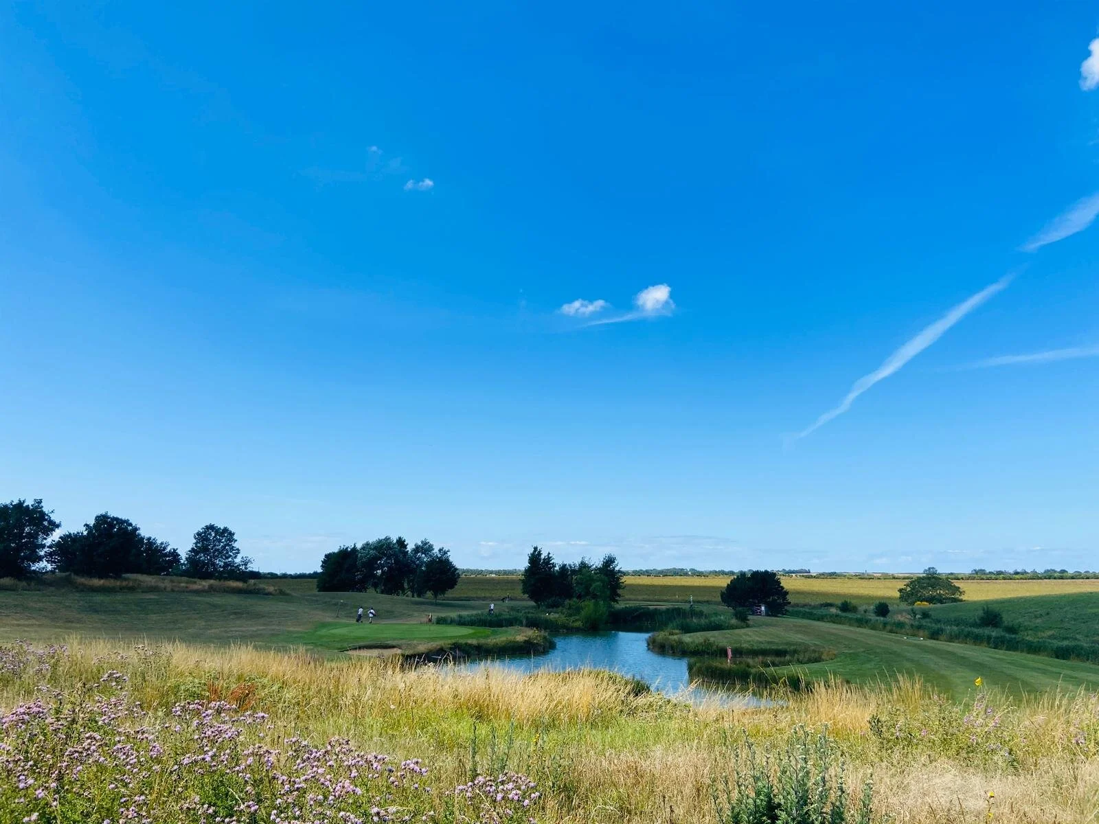 18 Hole Voucher on Executive Course