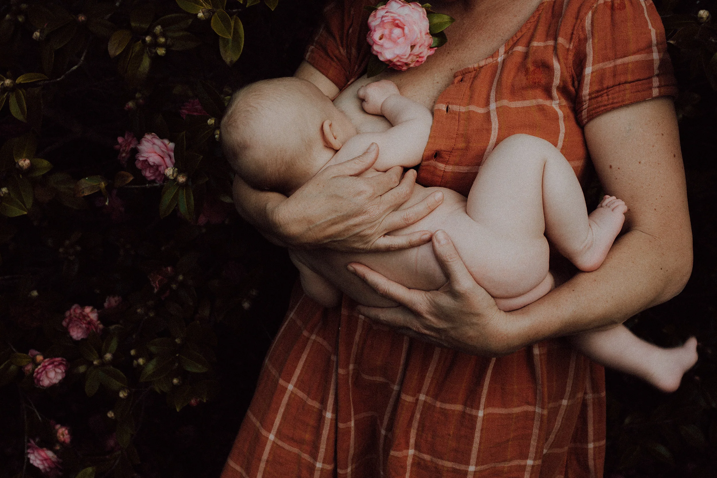 Common Nutrient Deficiencies In Postnatal Depletion