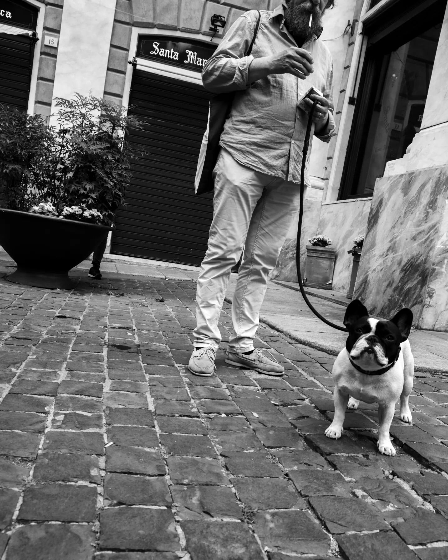 A man and his dog - Genova, 2022