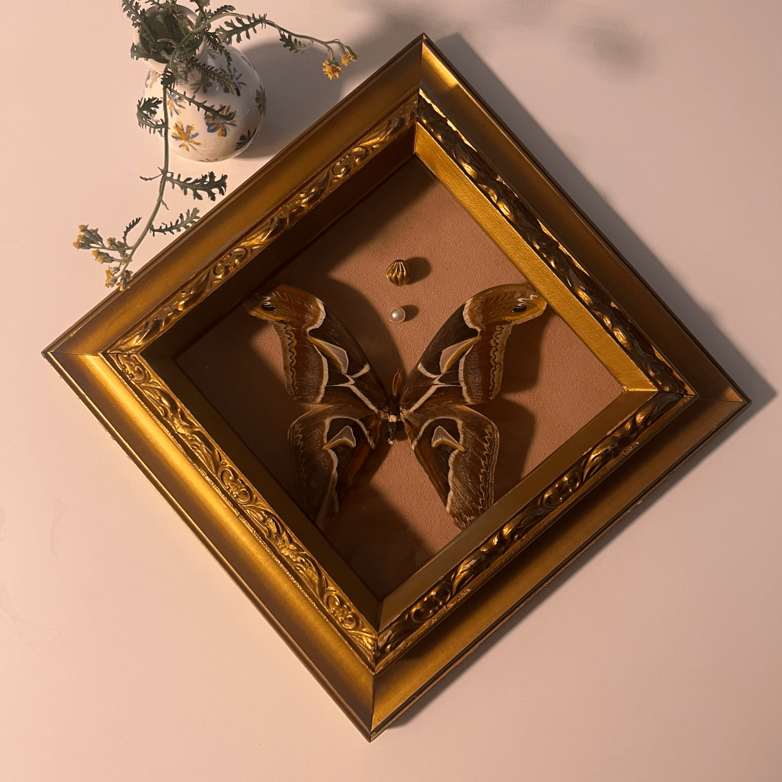 tempImagepkxZ3Y.gif