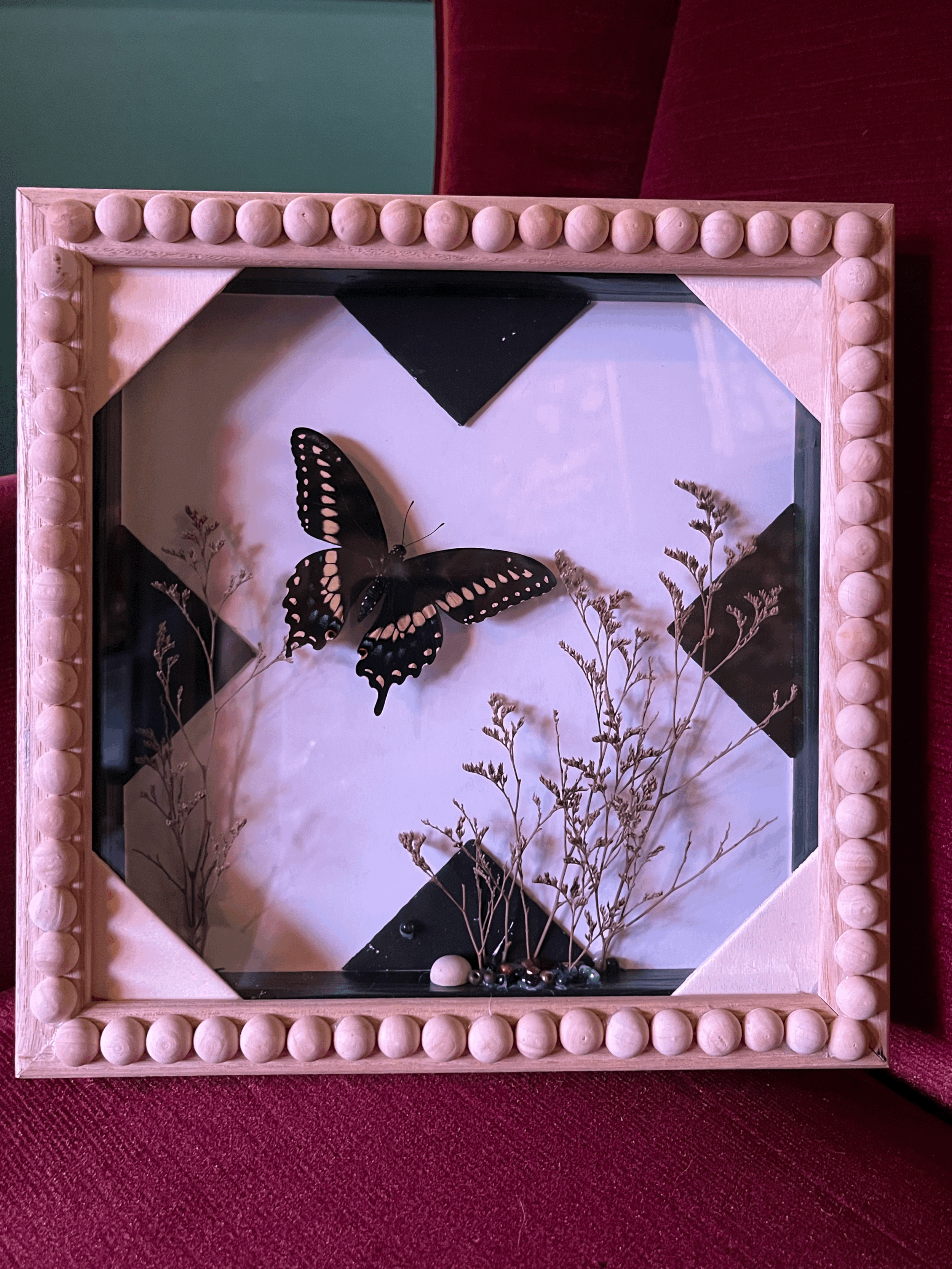 Framed Black Swallowtail Butterfly