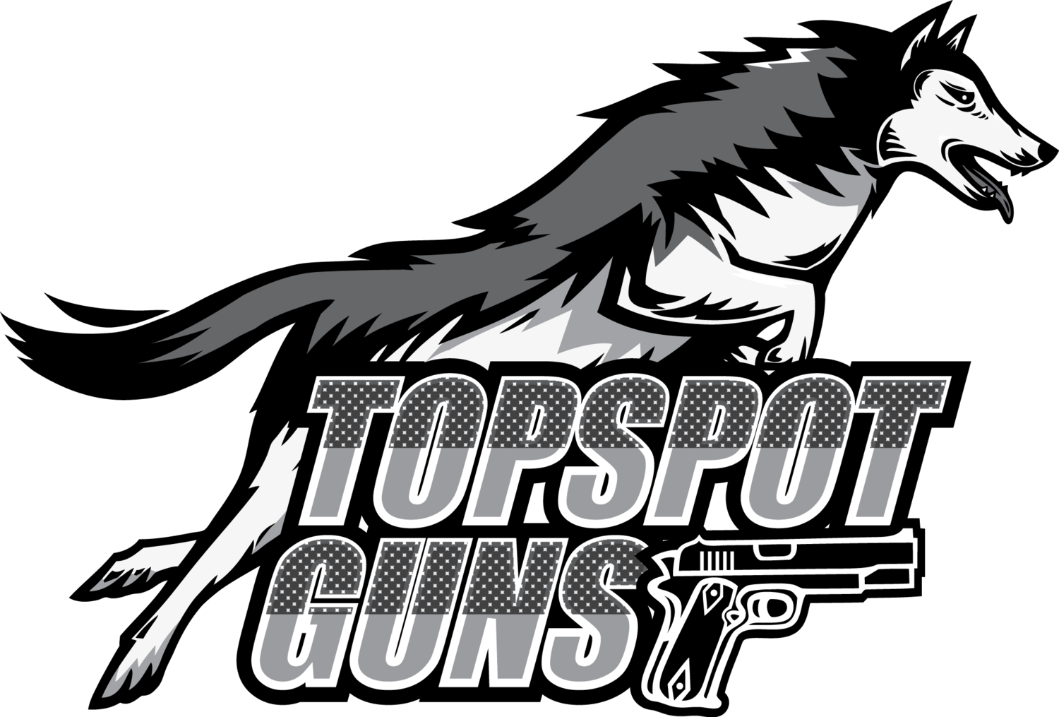Topspot Guns International Corporation