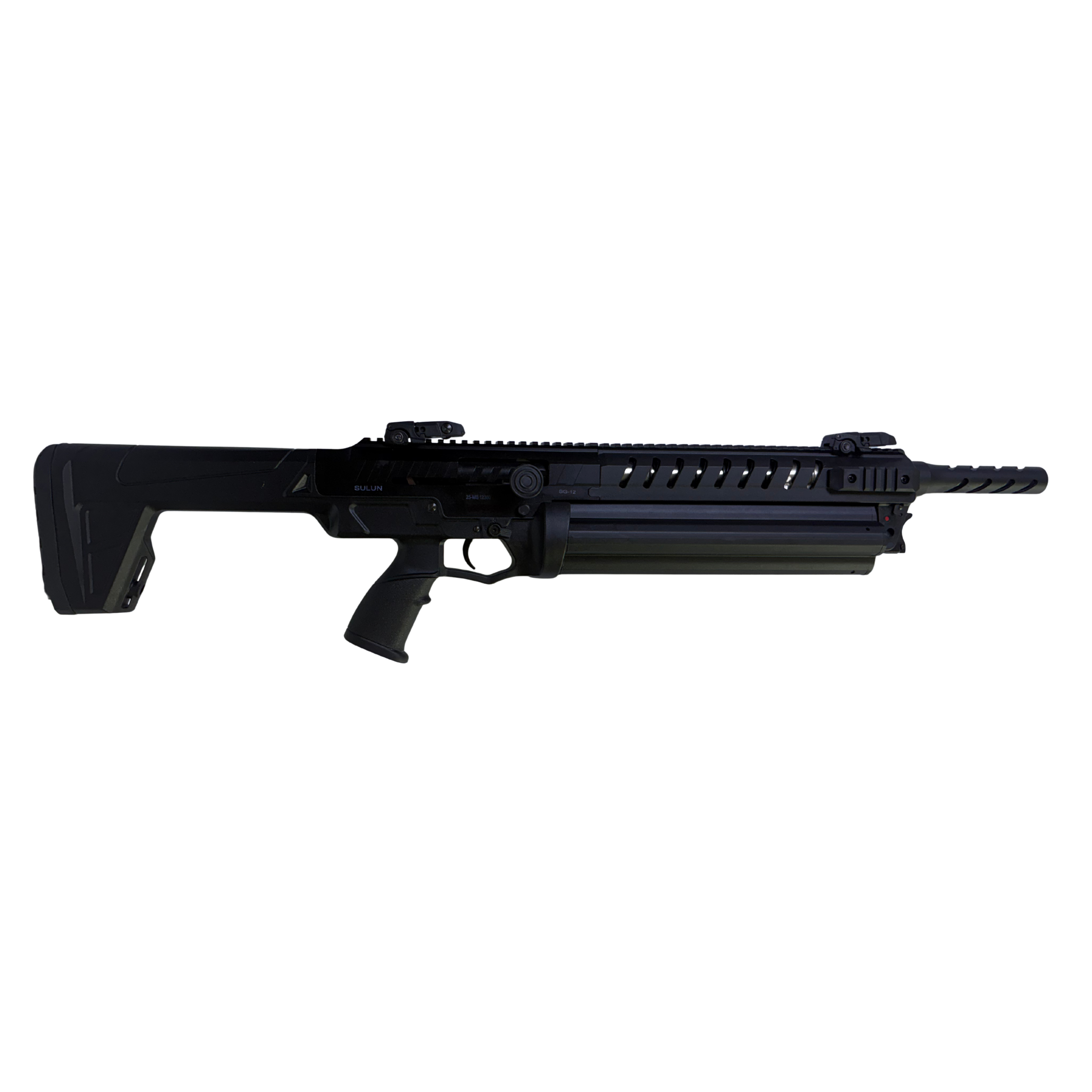 sg 12 v2 (1).png