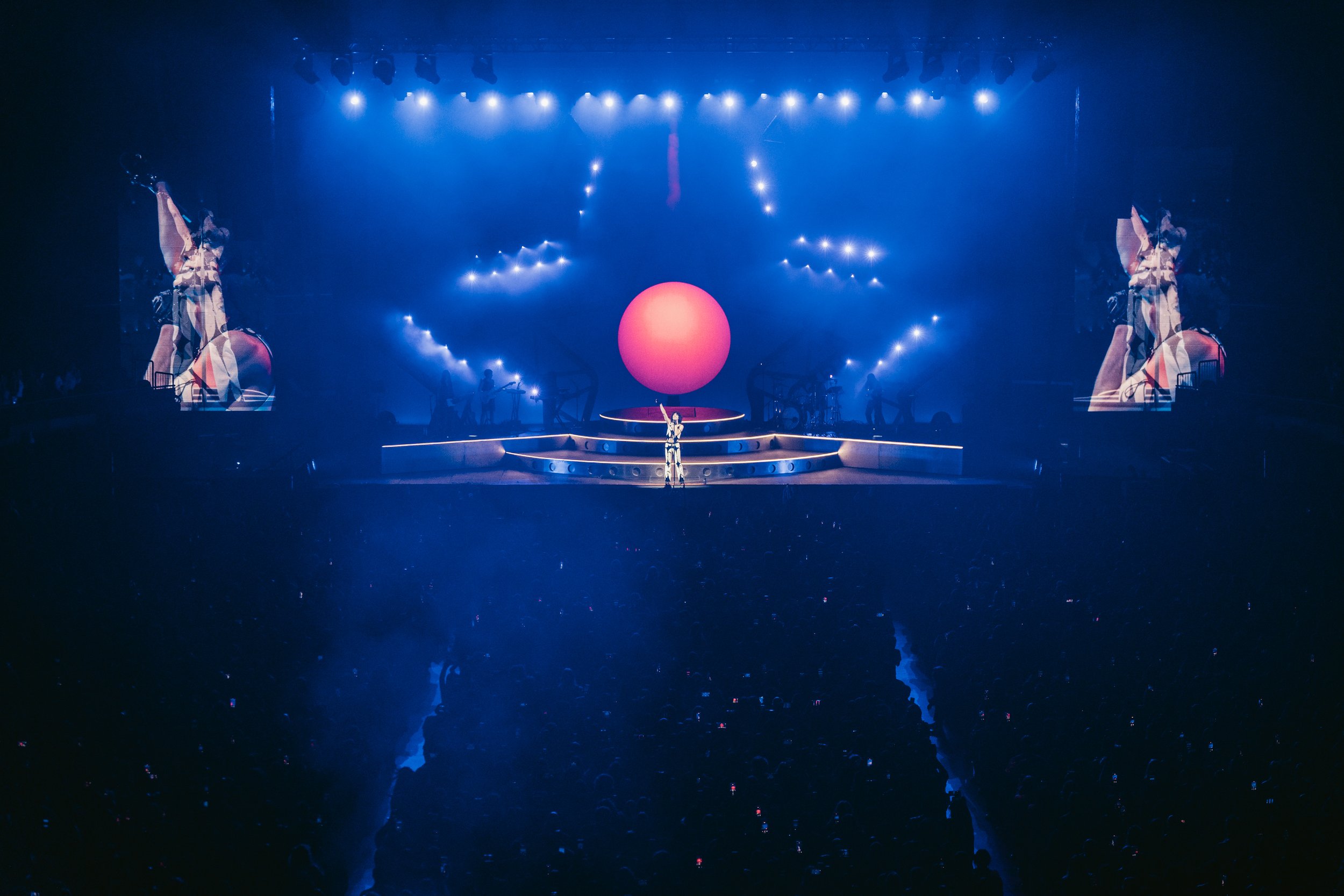 conangrey2024_1018_210914-05653_ssh 2.JPG