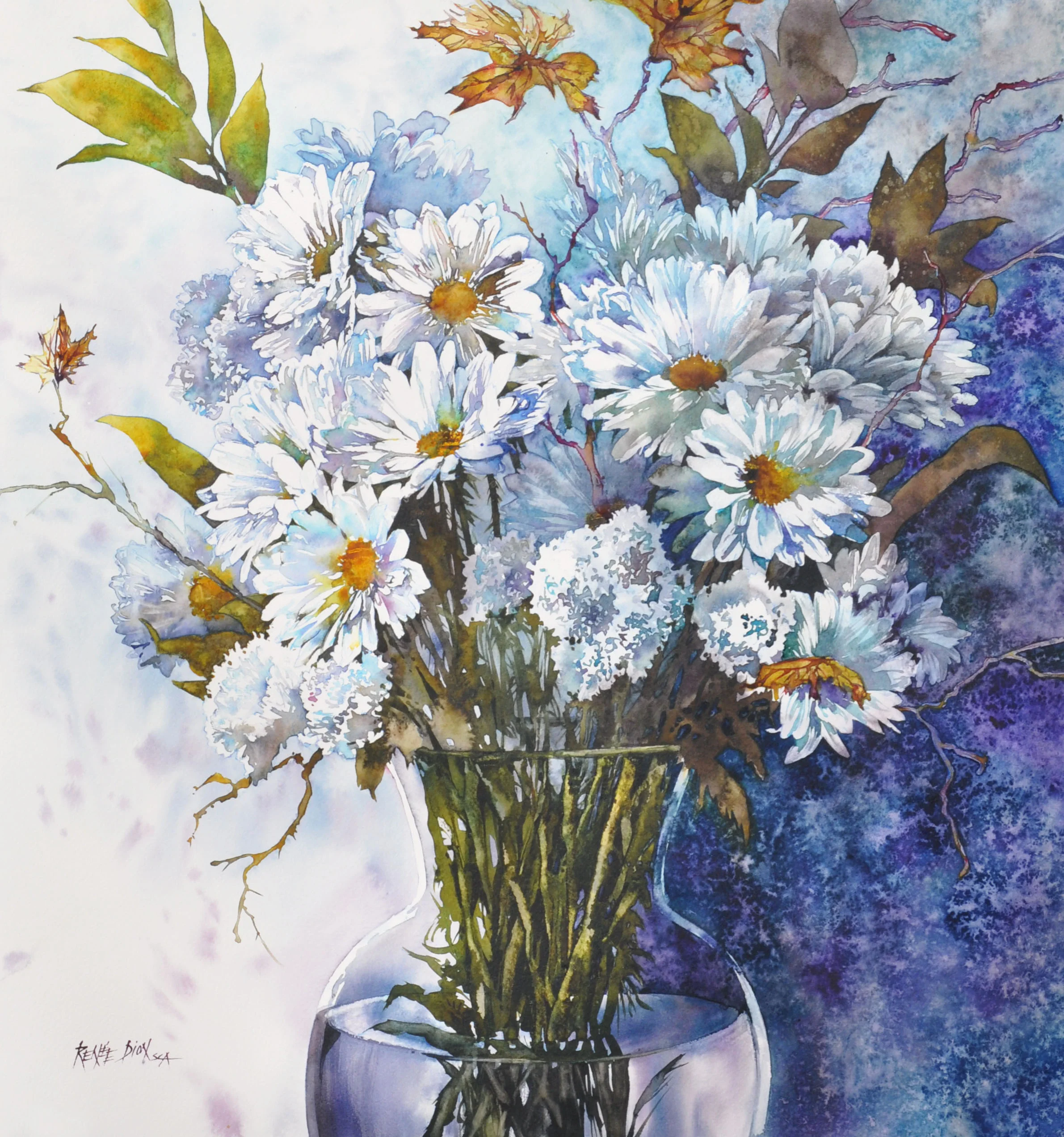 Marguerites et compagnie