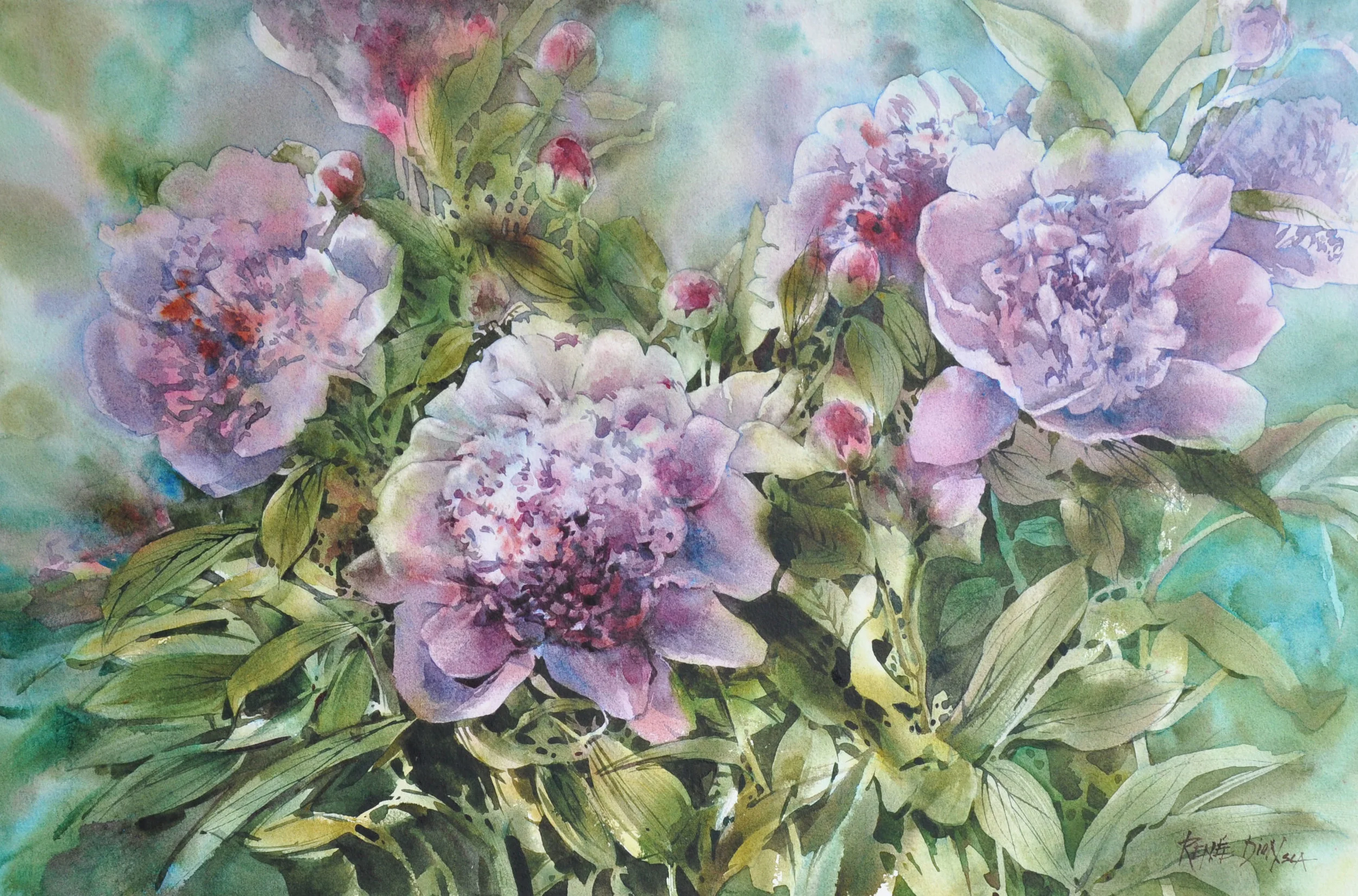 Les pivoines de Fernande