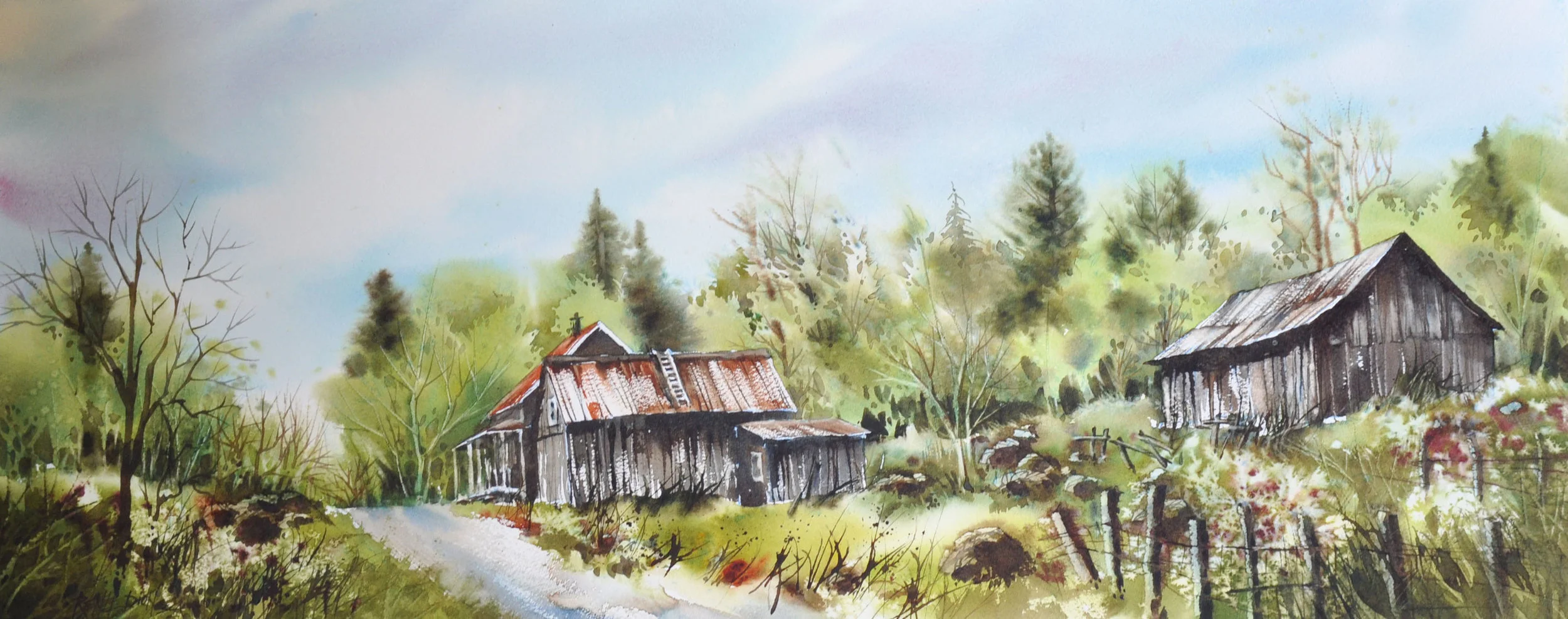 Le paradis des poules