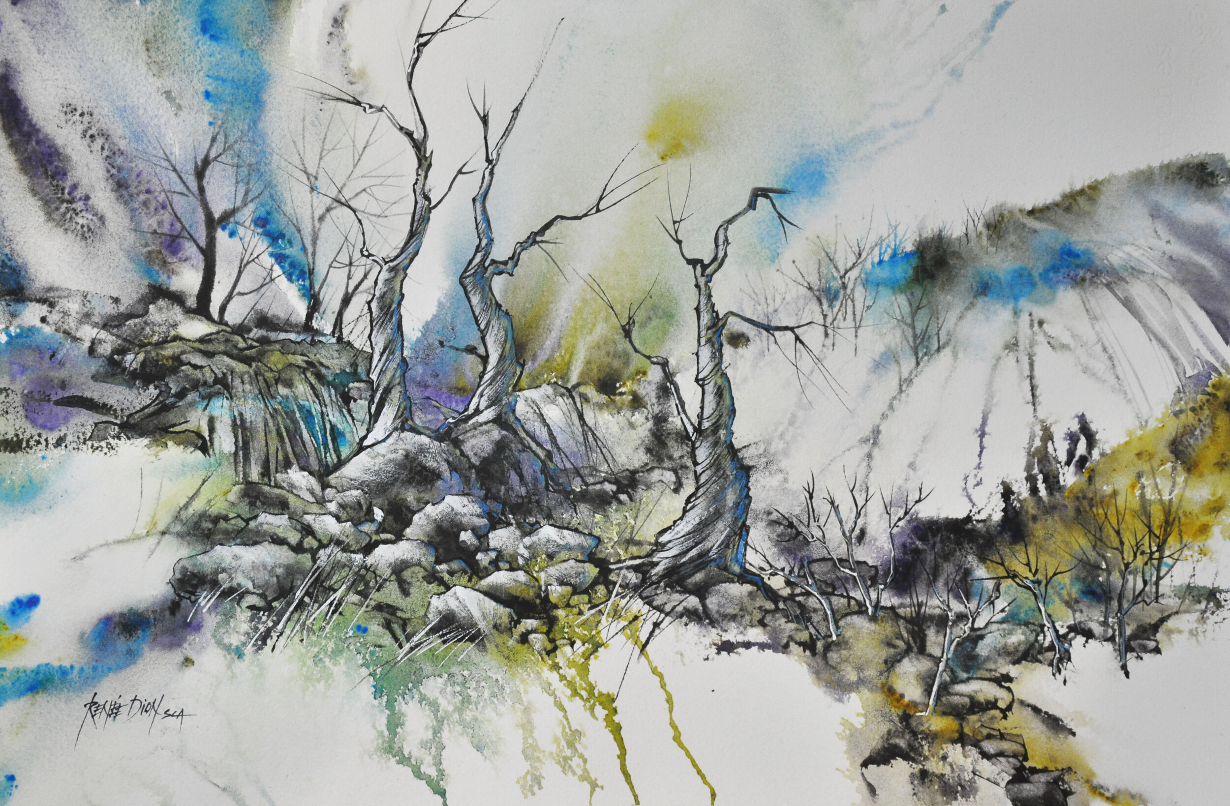 Un trek dans les Himalayas