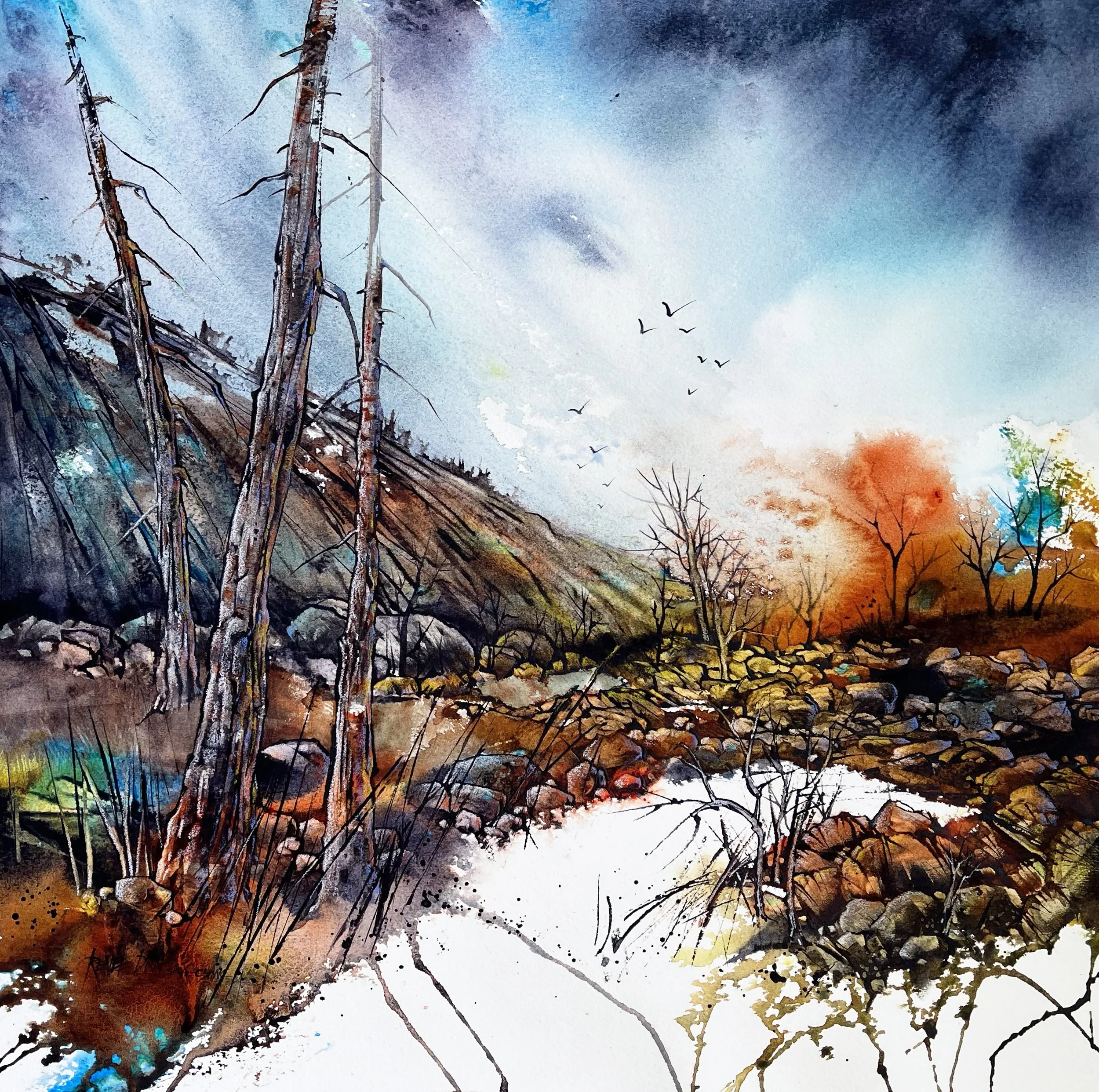 Un monde de contrastes