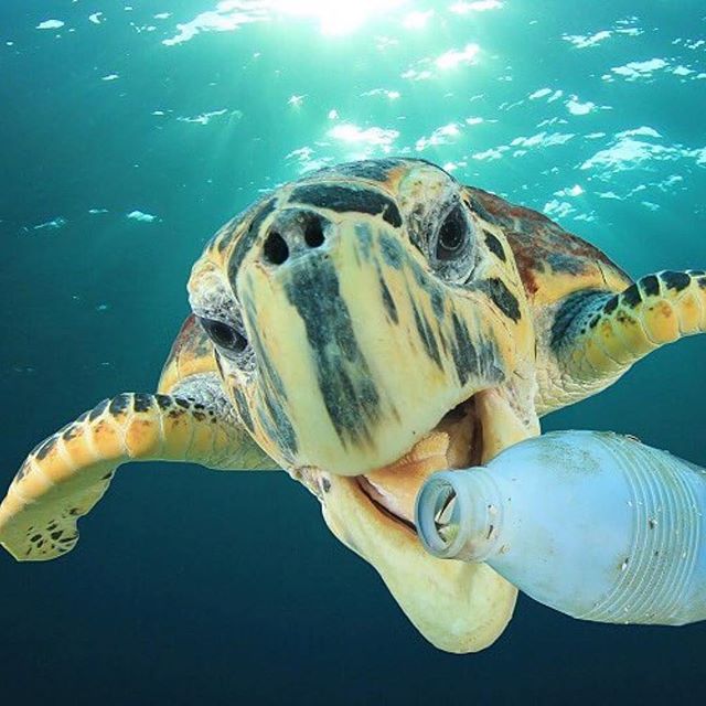 It&rsquo;s Sunday... most families pack up for the day and head out for a fun adventure. Packing a reusable water bottle is one of the easiest things you can do to be part of the solution. It saves the ocean and saves your wallet. Even if you live th