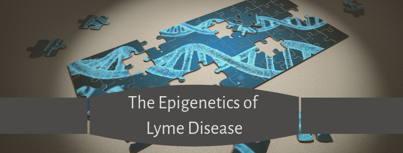 The Epigenetics of Lyme Disease .png