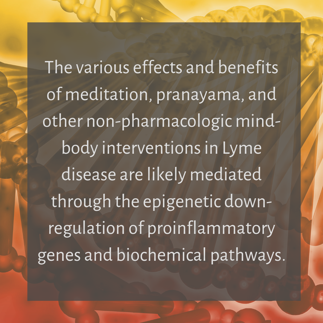 Meditiation and epigenetics .png