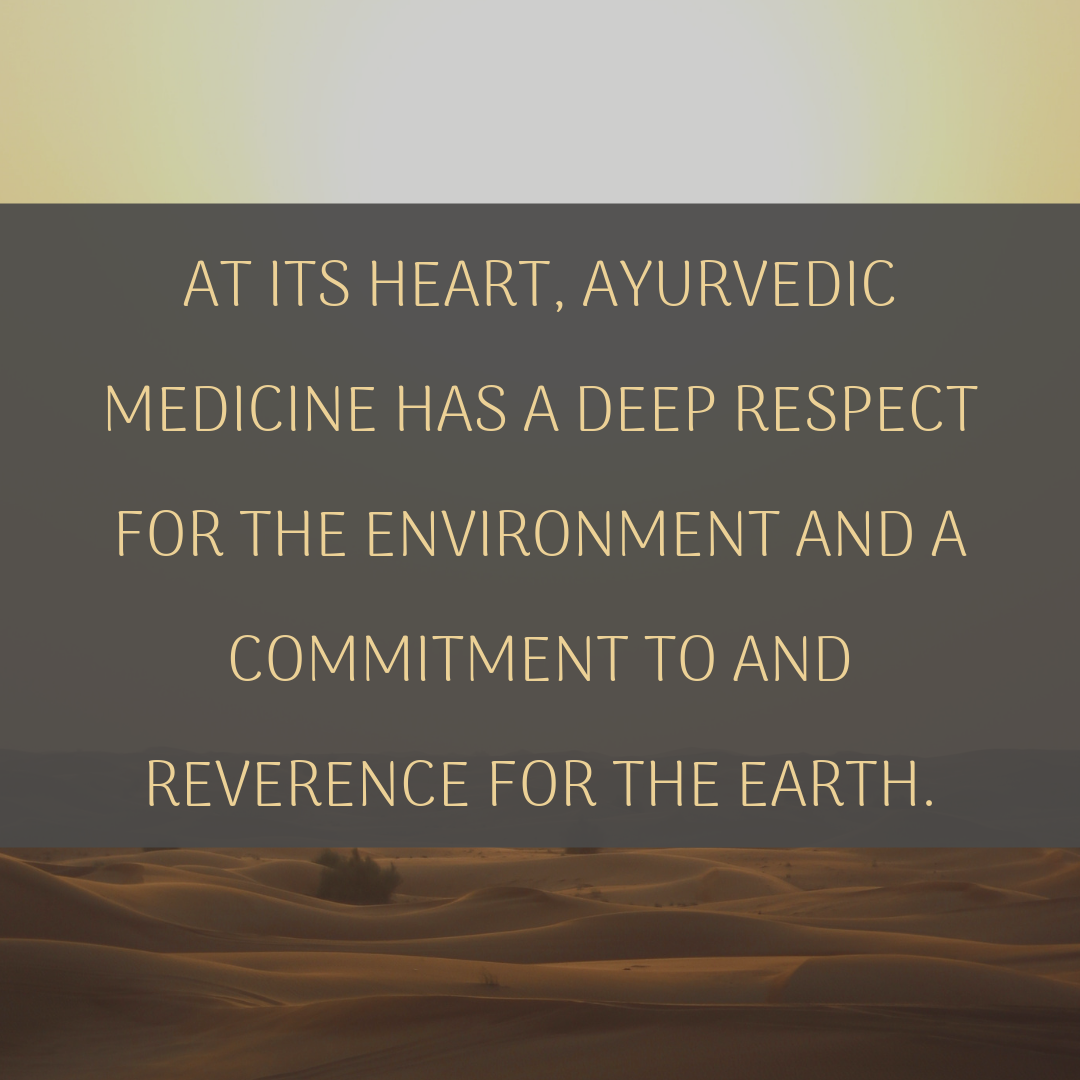 Respect the Environment .png