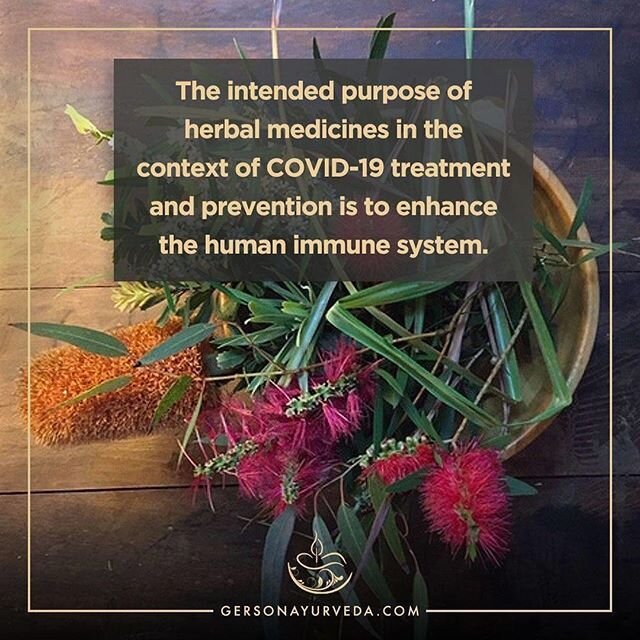 The intended purpose of herbal medicines in the context of COVID-19 treatment and prevention is to enhance the human immune system.

Speaking as a primary care Ayurvedic physician, Ph.D. scholar, herbal scientist, and human immunity research scientis