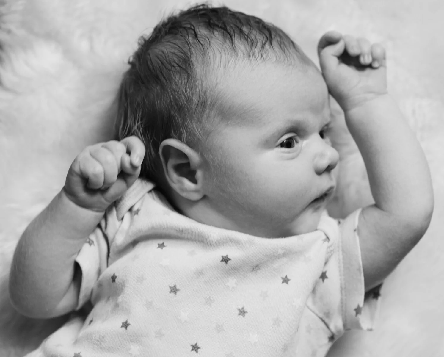 _MG_3767-bw1200.jpg