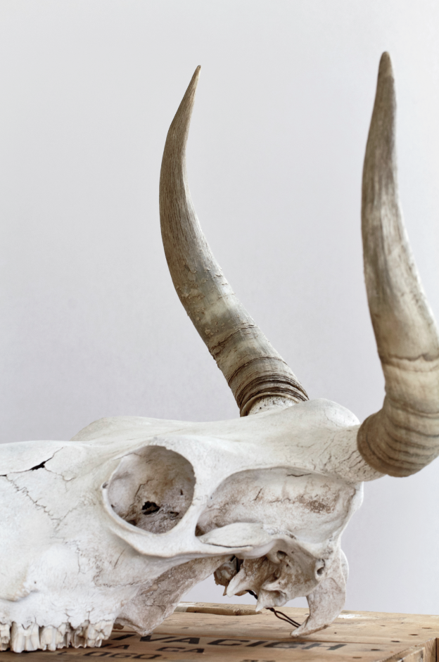 Screen Shot 2018-09-05 at 5.40.52 PM.png