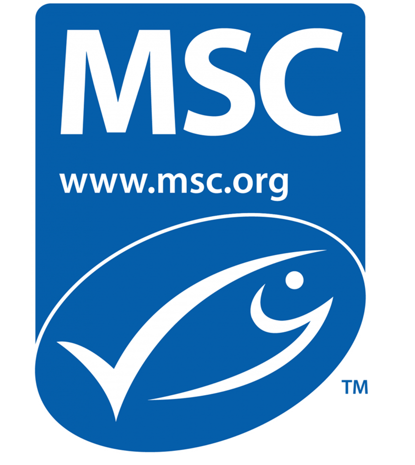 MSC-Logo.png