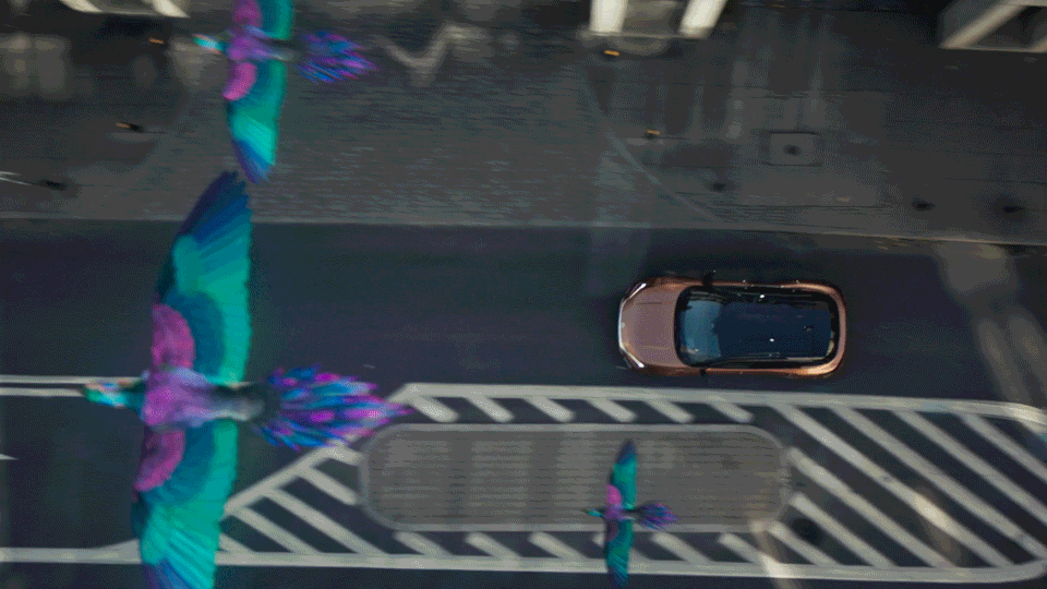 Everyday Extraordinary