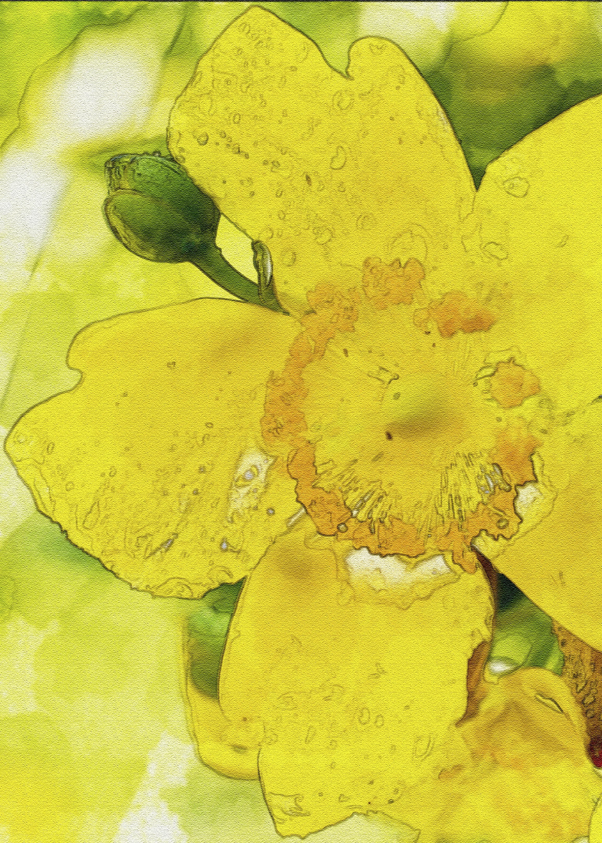Watercolor2.JPG