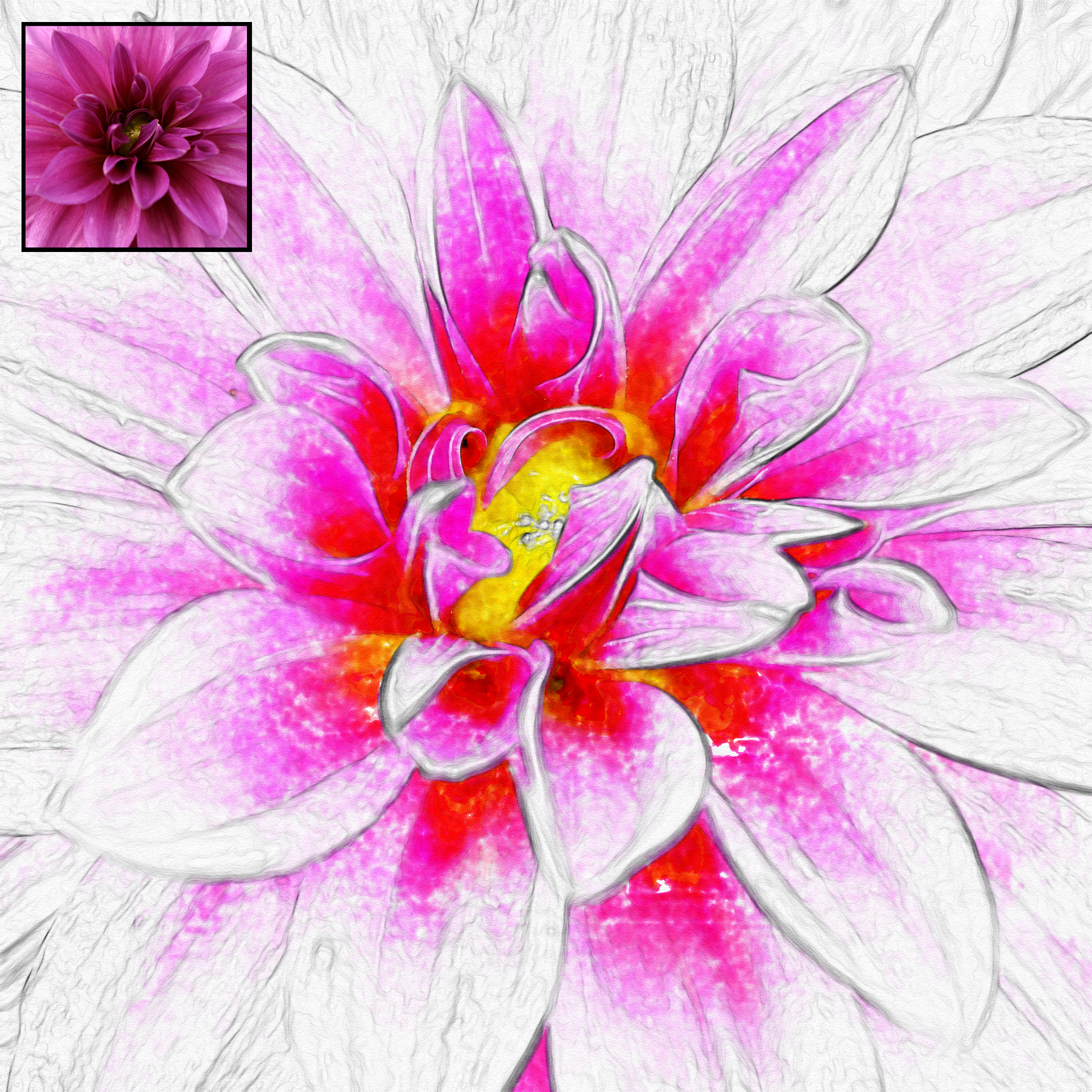 hotpinky1 watercolor with original.jpg
