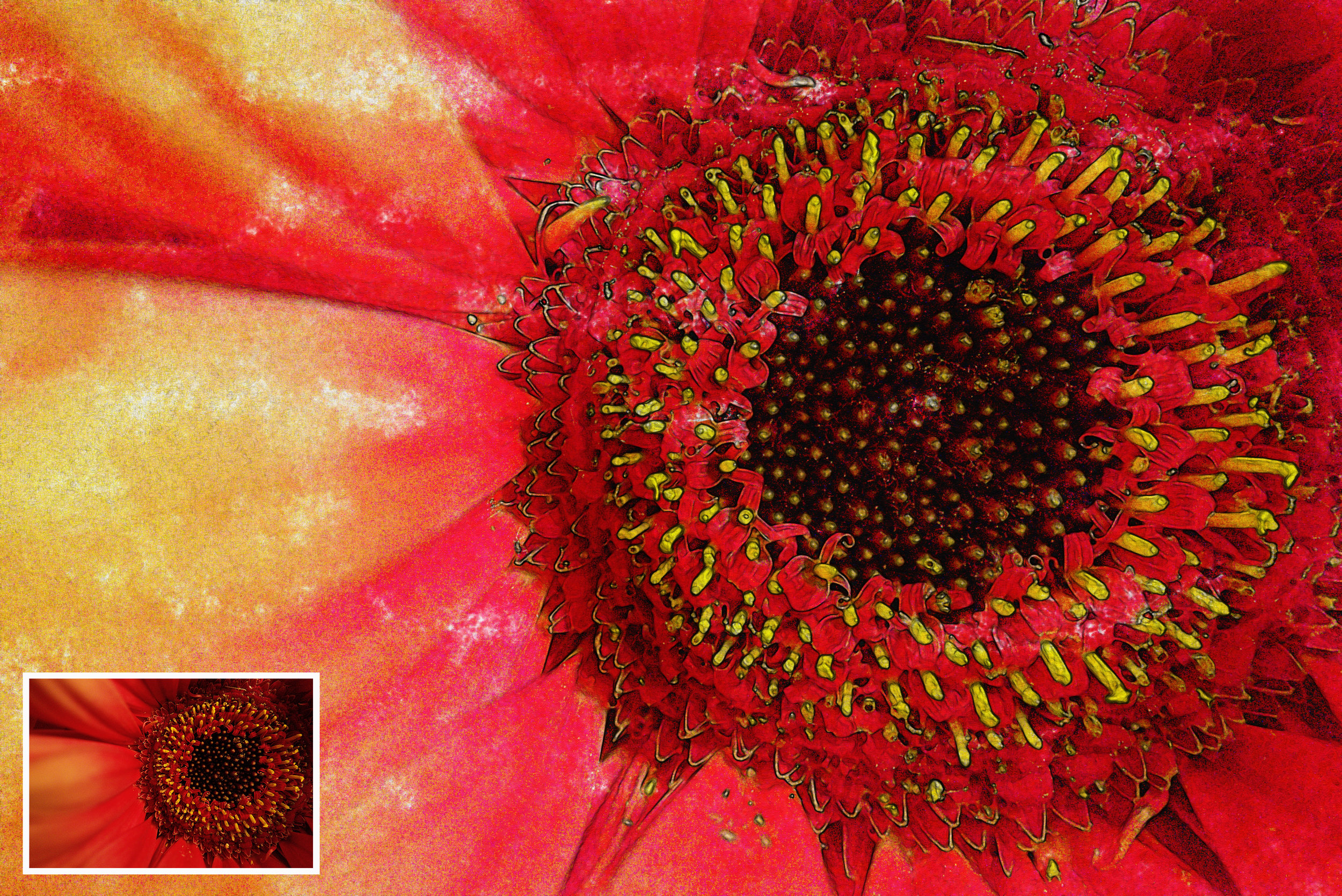 red2 Watercolor with original.jpg