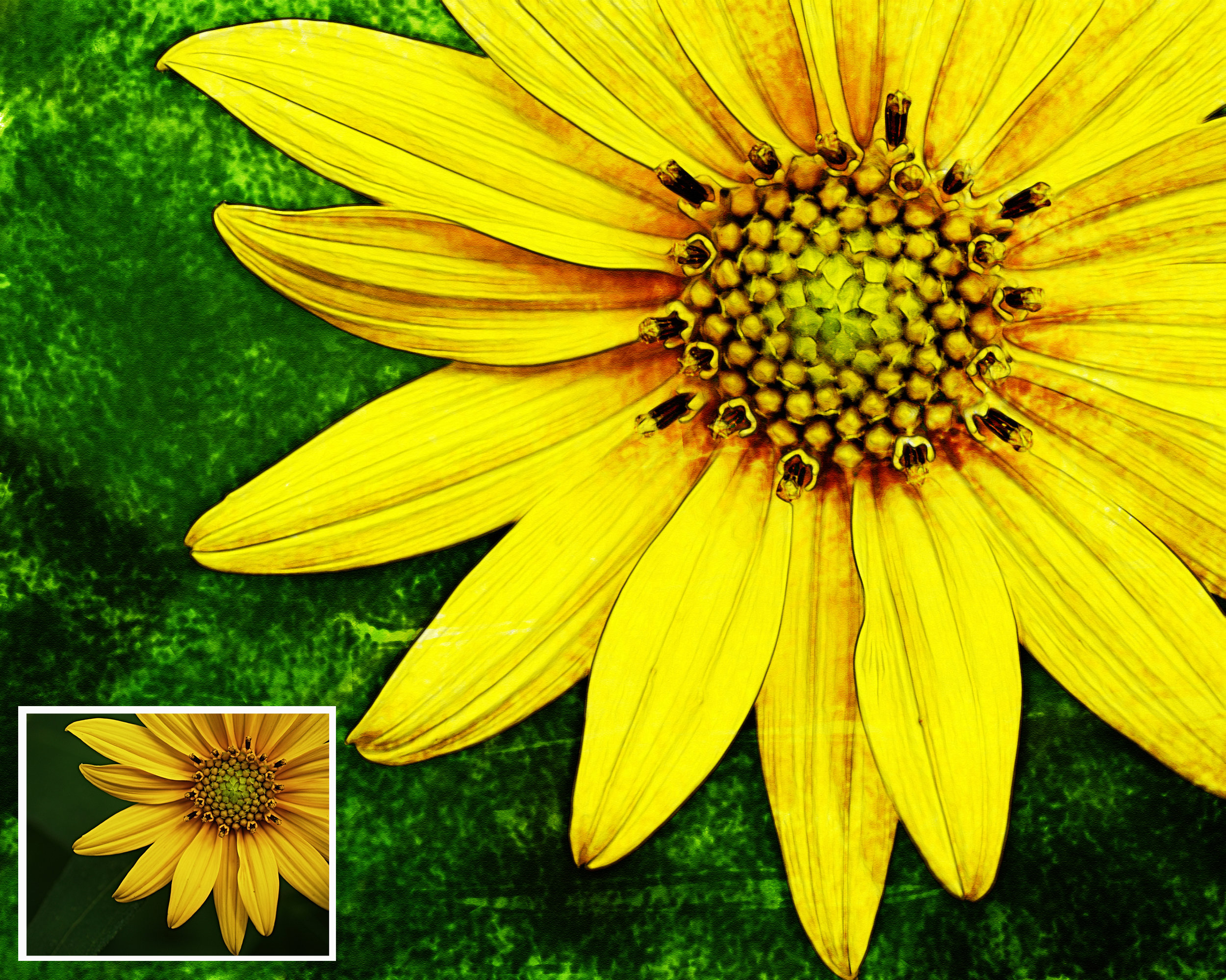 sun1 watercolor with original.jpg
