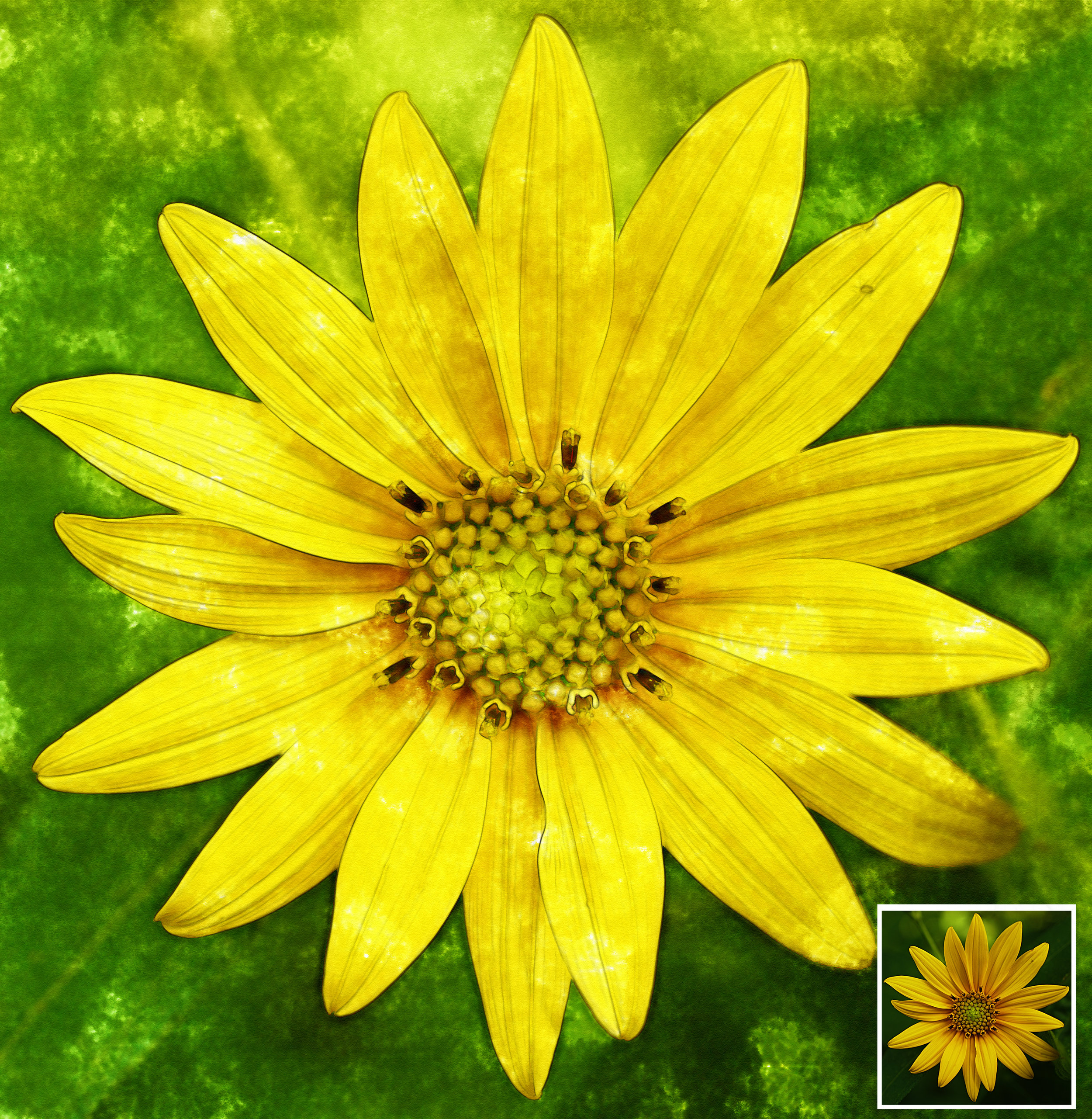 sun2 Watercolor with original.jpg