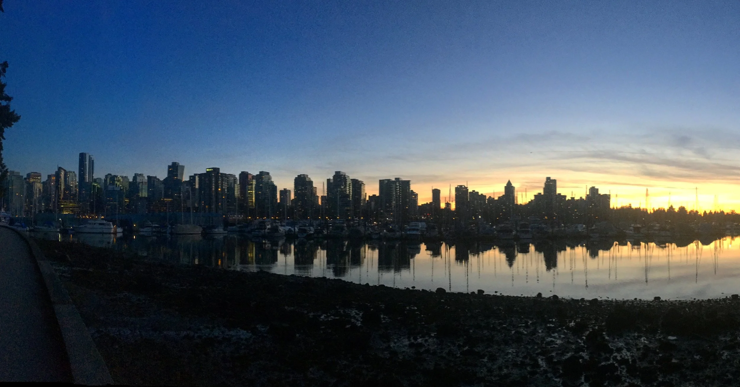 How We Voted on Sessions for TND19