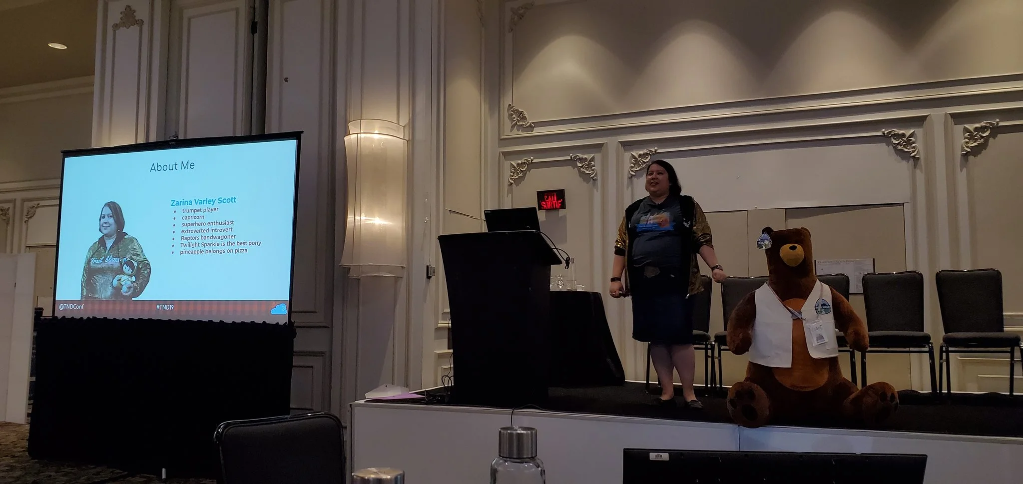 Zarina giving a presentation at True North Dreamin’ 19